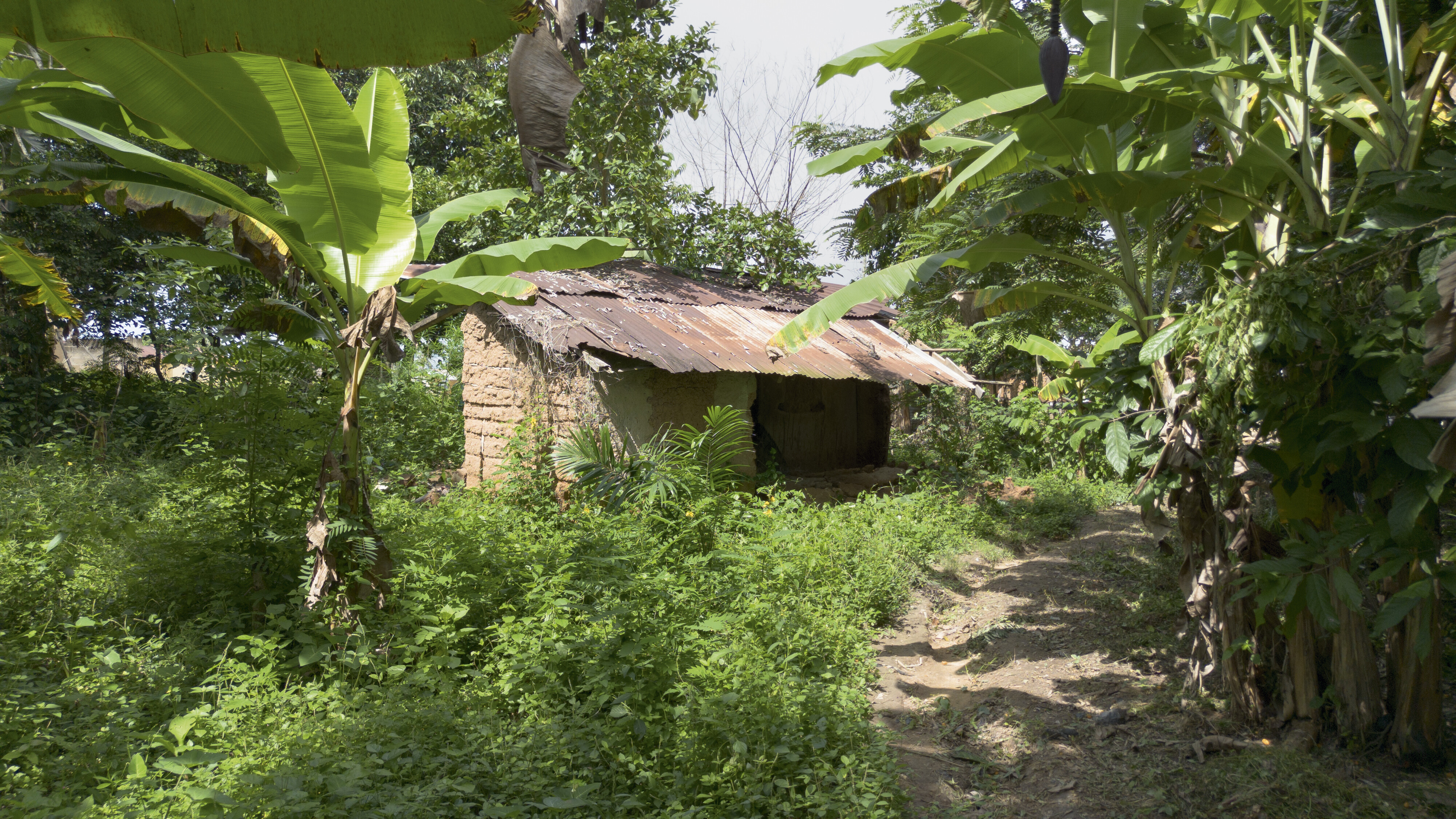 Maison de cultivateur de cacao en latérite, Gyampo, Sukrong-Budu, Ghana, 2025. © Courage Dzidula Kpodo. Photo © Divine Kpodo