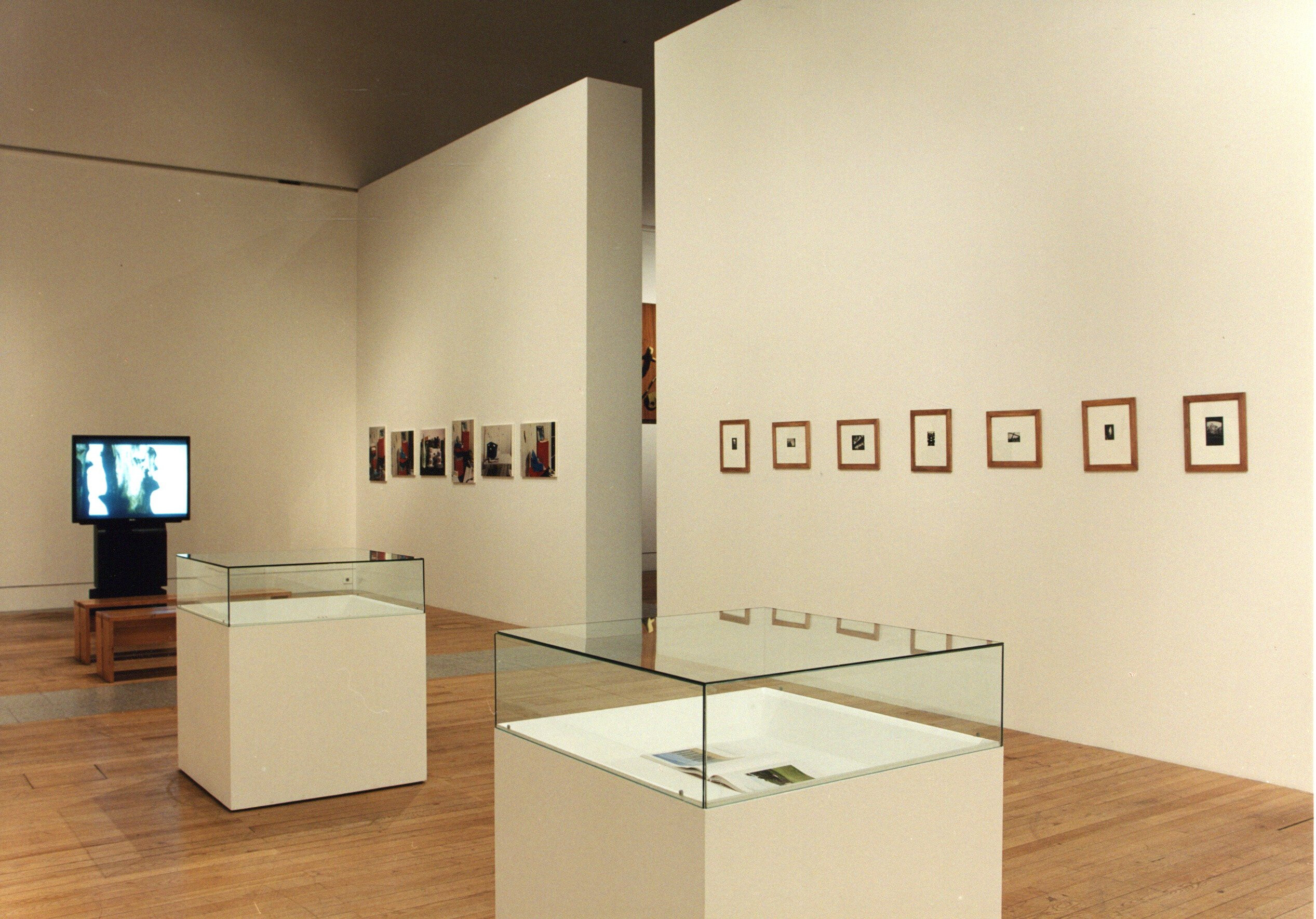 La Collection de la FC pour l'art contemporain   Centre culturel de Belem   1999