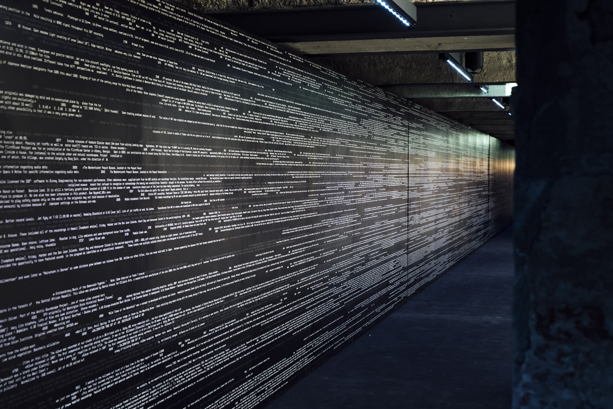 Bernie Krause and the Soundwalk Collective   Exposition Générale   2025