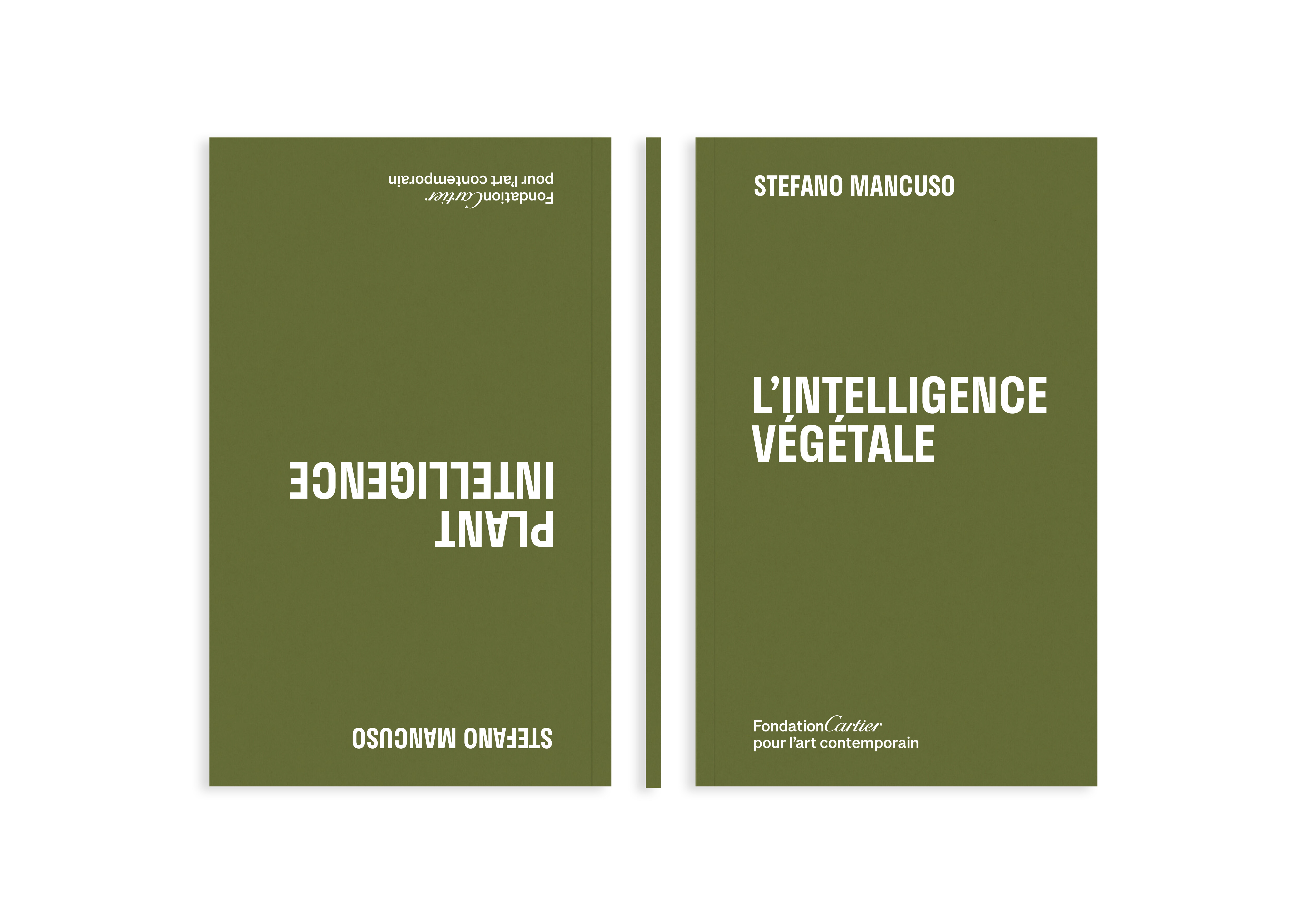 L'intelligence des plantes   Stefano Mancuso   2025   c1a