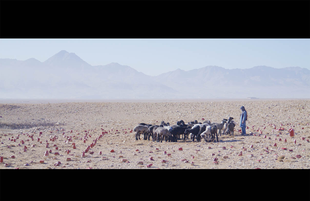 Feda Wardak, De terre nous sommes, à la terre nous retournons, et de la terre nous reviendrons, district de Jaghatu, province du Wardak, Afghanistan, 2026, vidéo © Feda Wardak