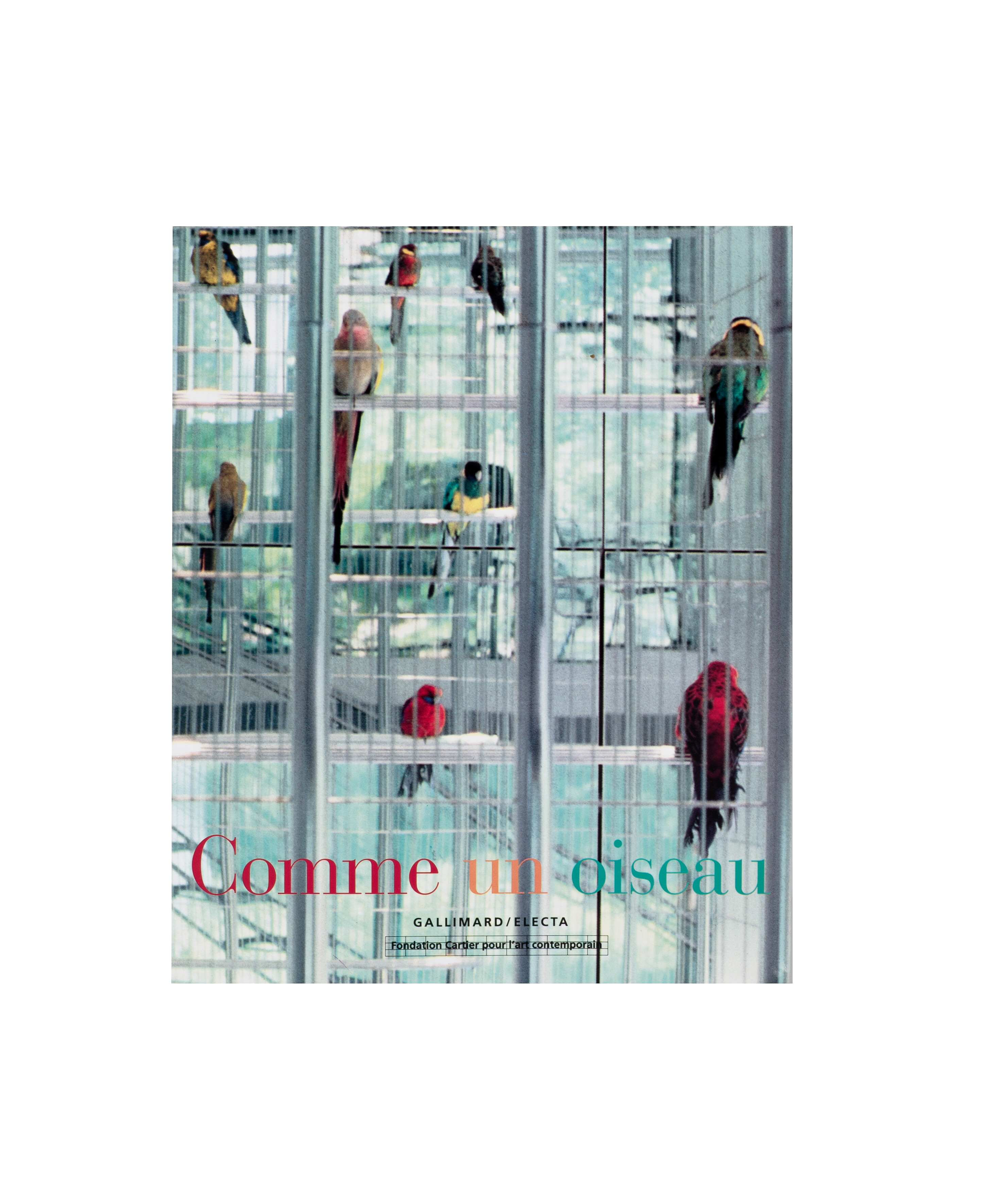 Comme un oiseau   1996   c1a