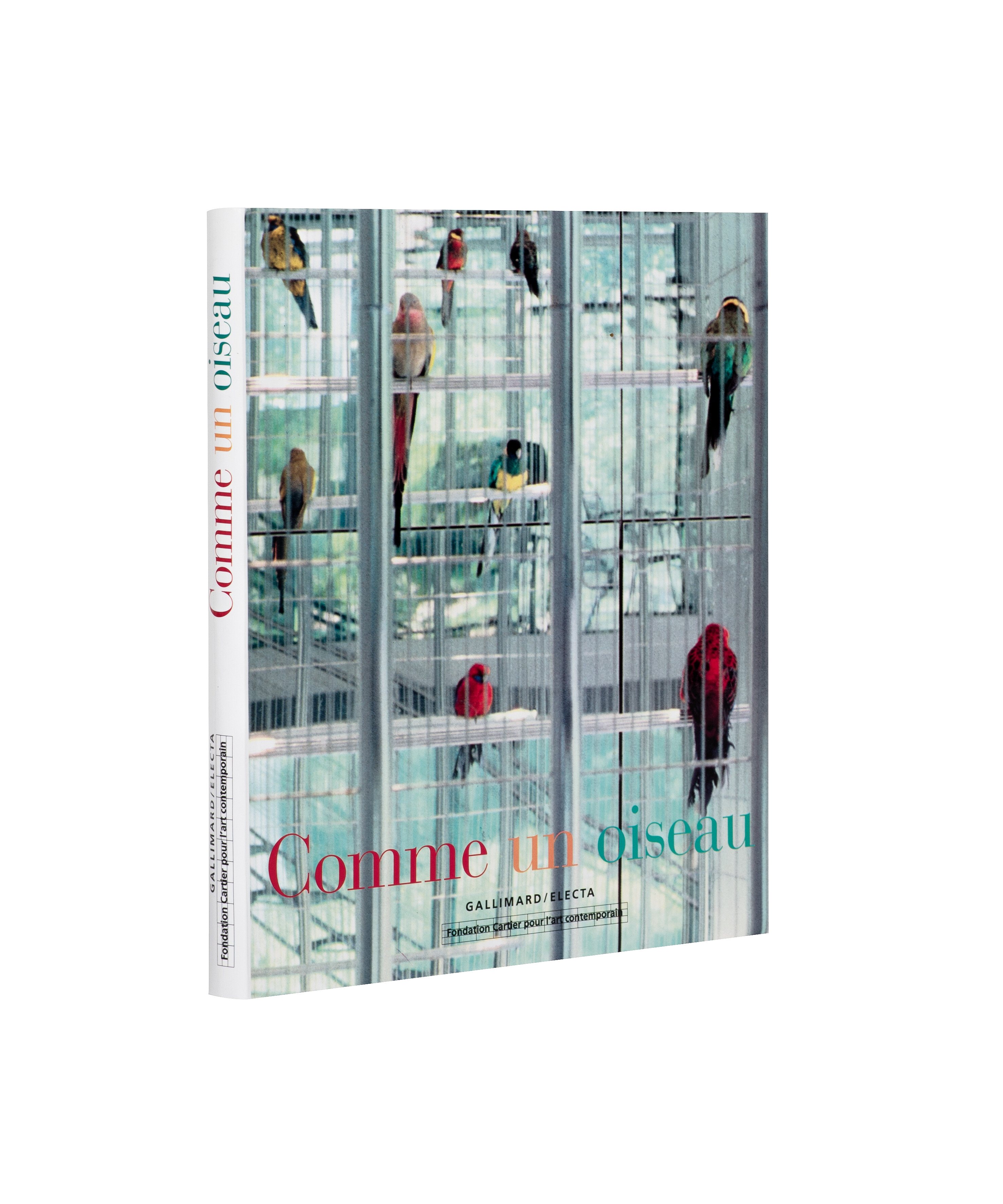 Comme un oiseau   1996   c1b