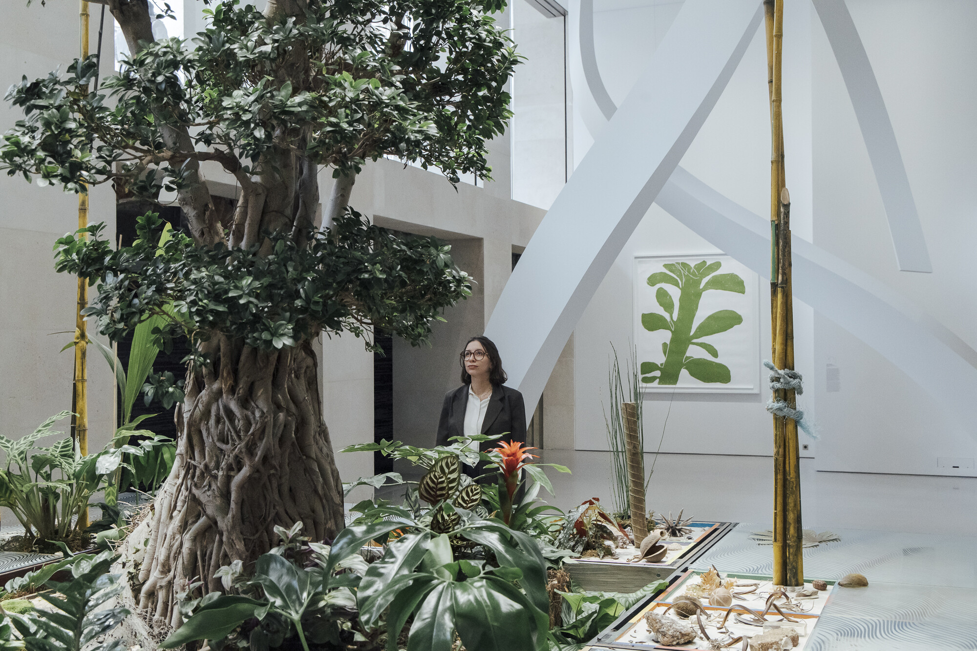 Vue Exposition Générale, Fondation Cartier pour l'art contemporain, 2025