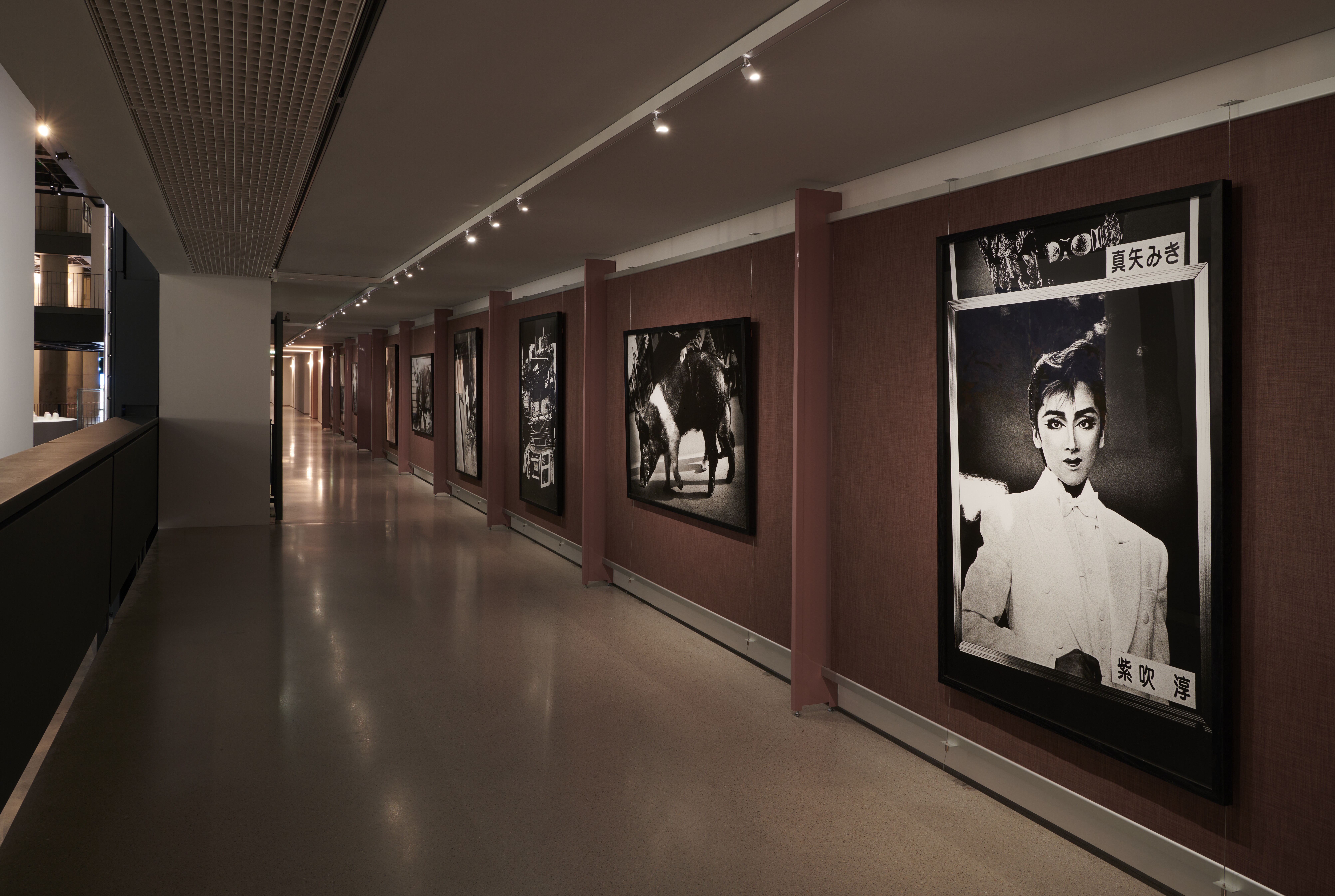 Daido Moriyama   Exposition Générale   2025