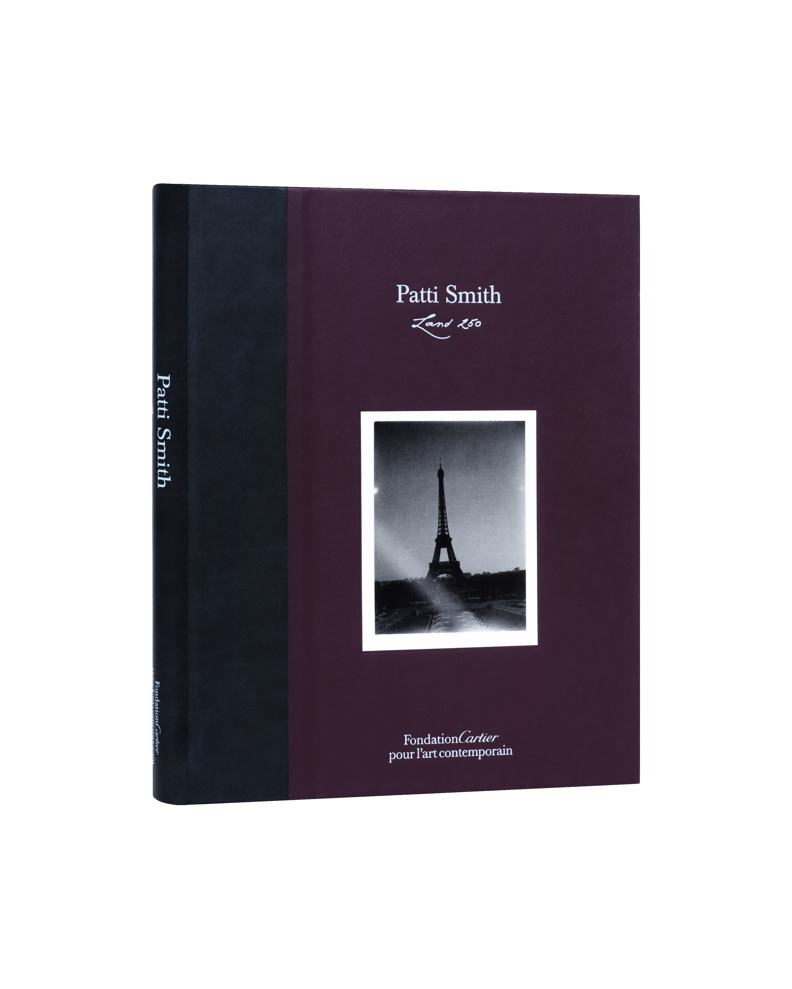 Land 250   Patti Smith   2008   c1b