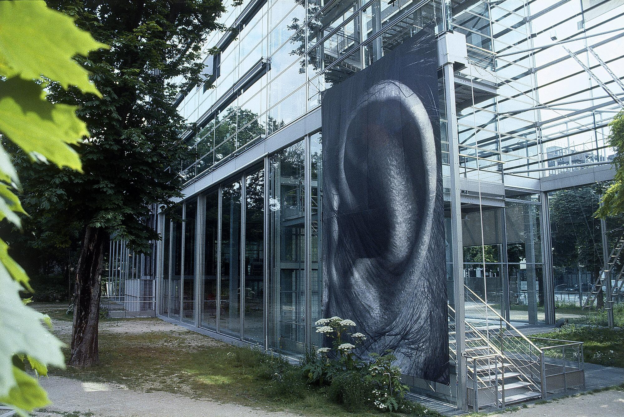 Comme un oiseau   1996