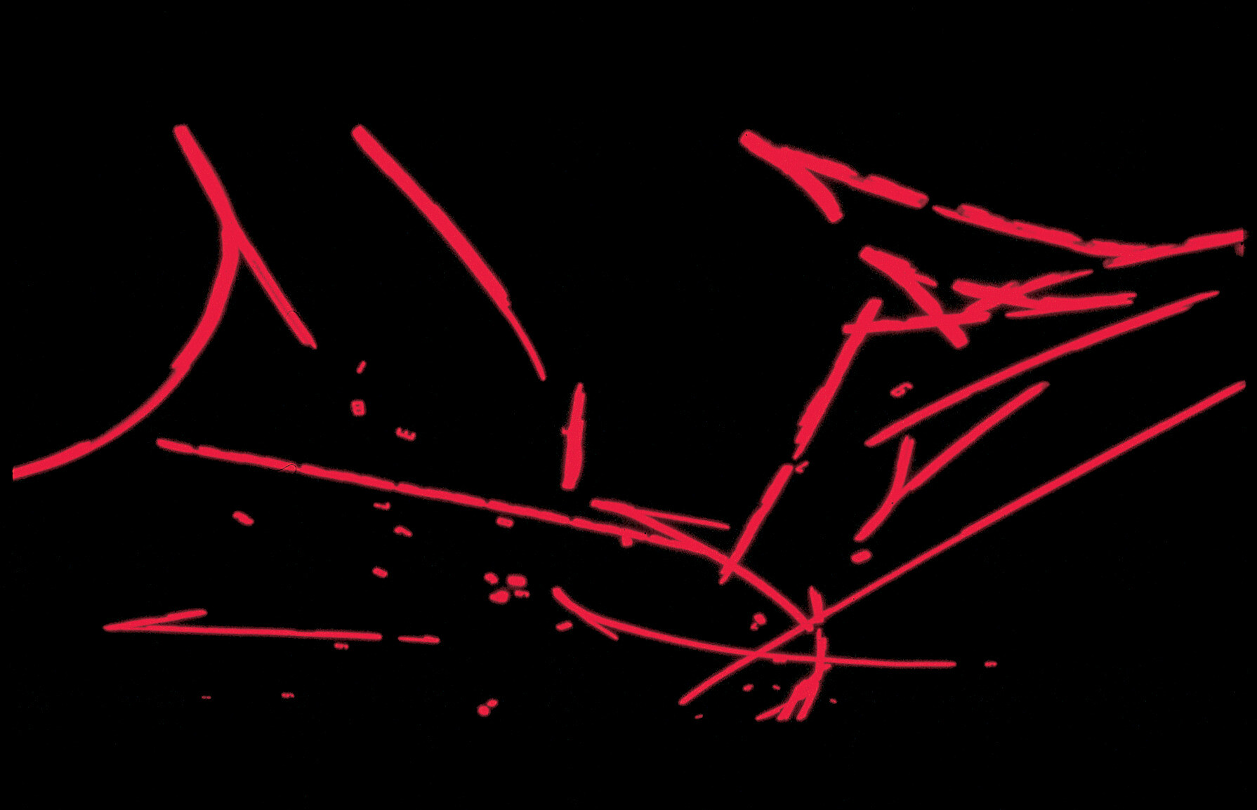 Tatsuo Miyajima   1996