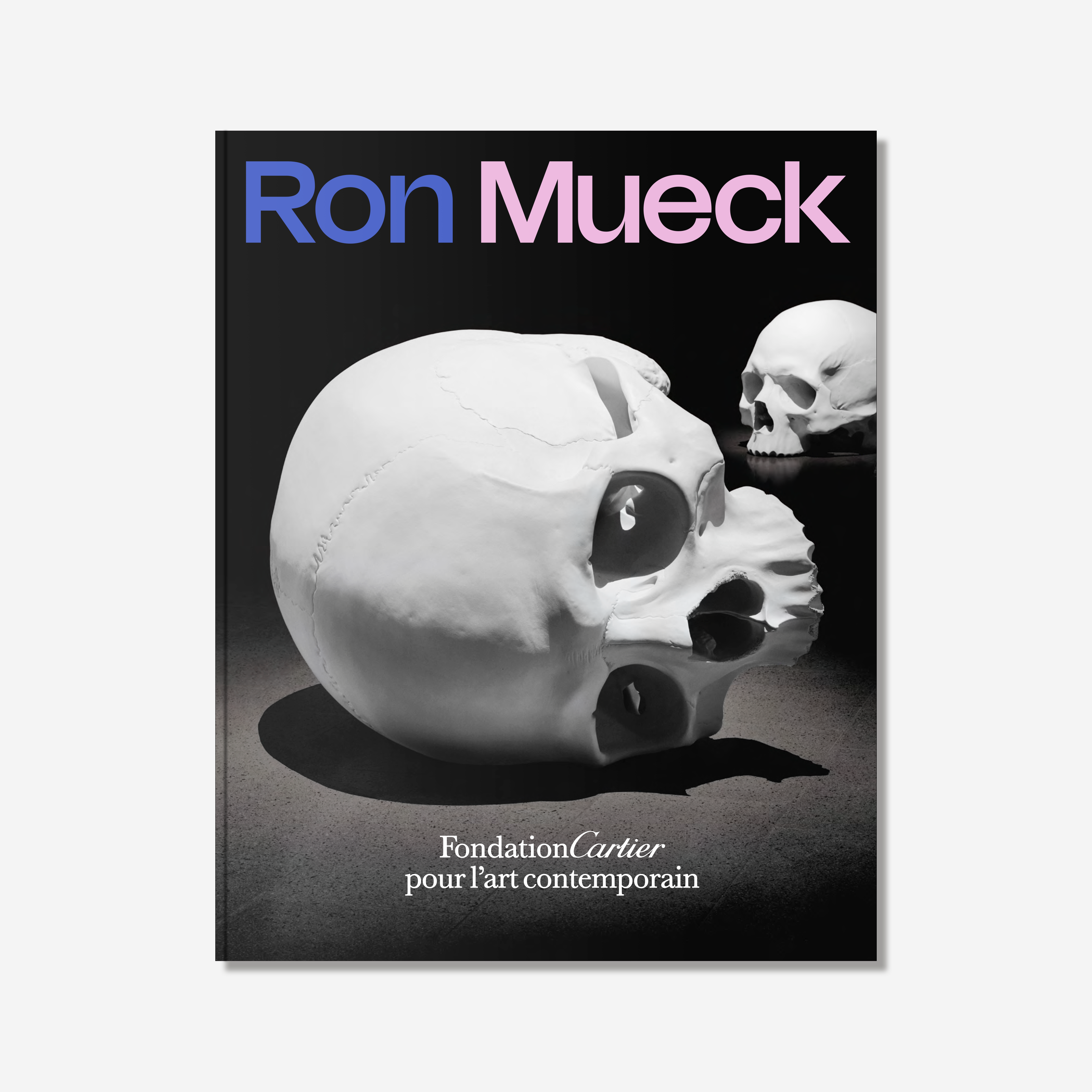 Ron Mueck   2023   Album de l'exposition   c1a