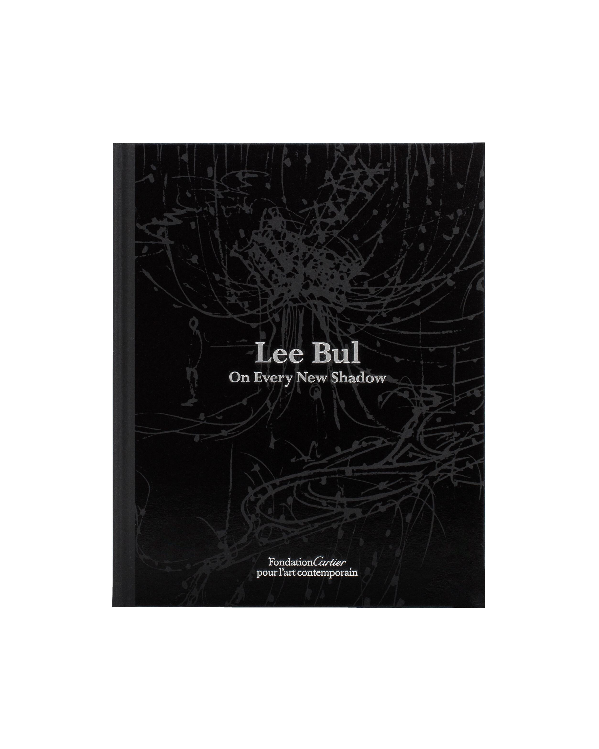 Lee Bul   2007   c1a