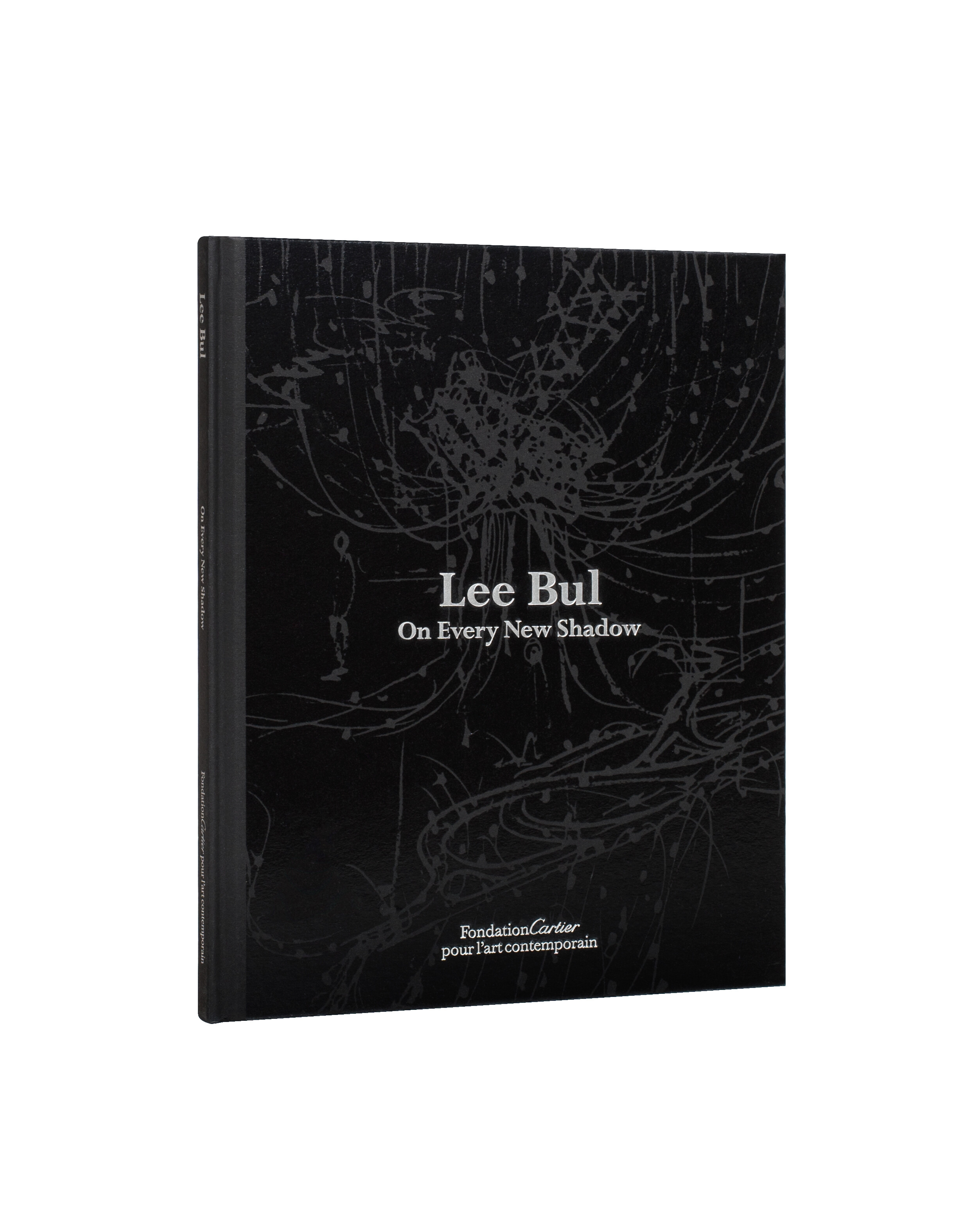 Lee Bul   2007   c1b