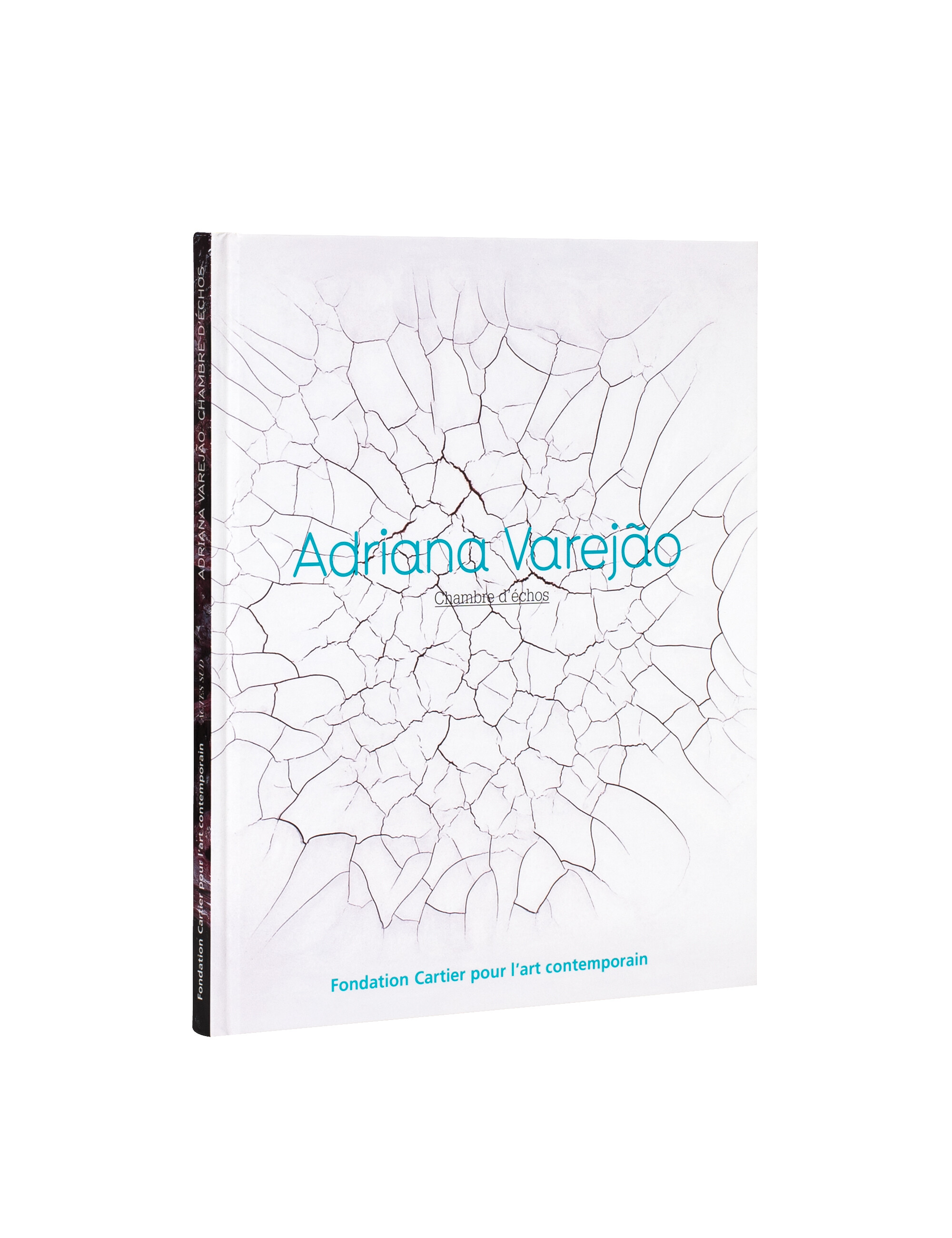 Chambre d’échos   Adriana Varejão   2005   c1b