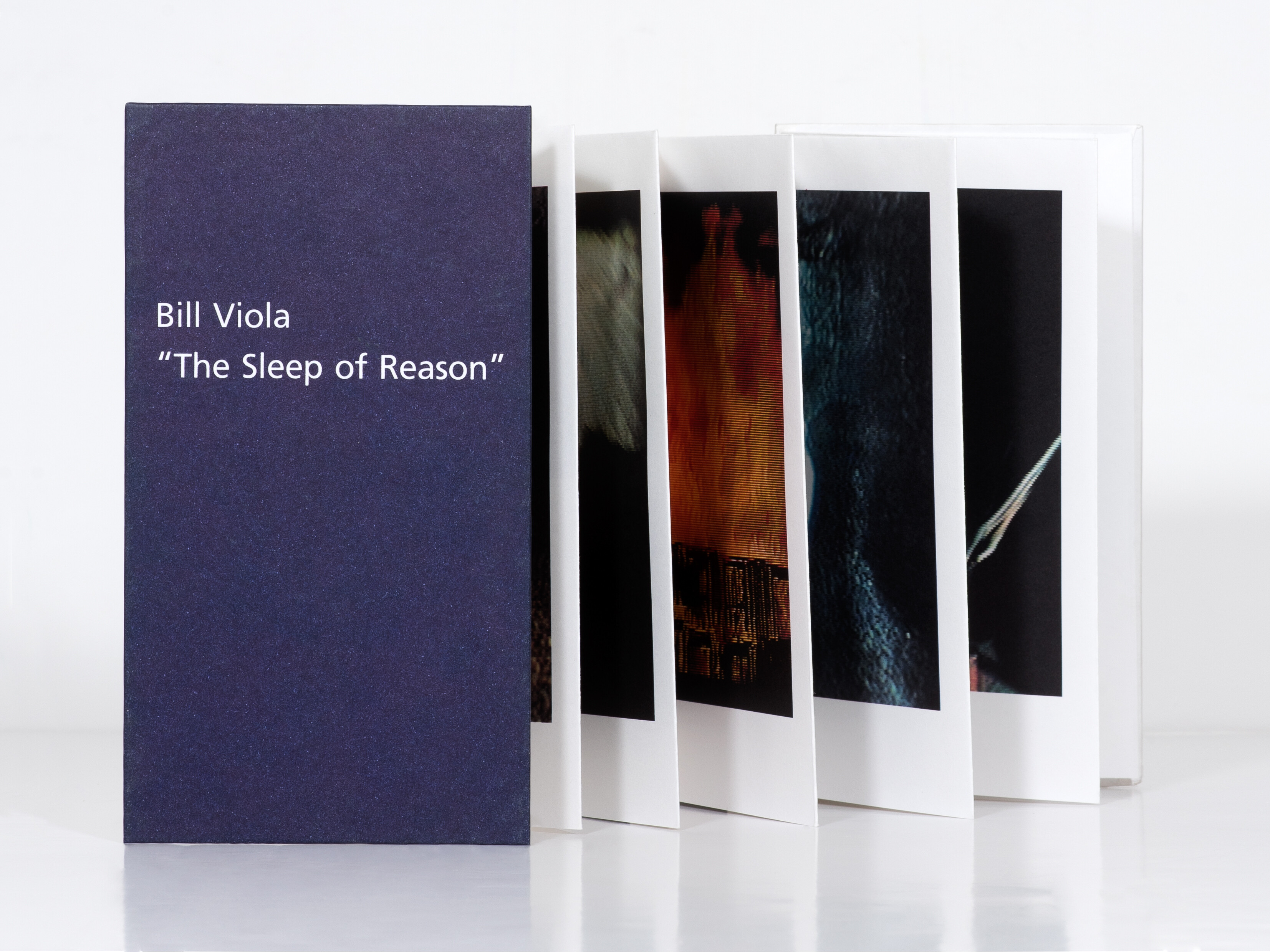 The Sleep of Reason   Bill Viola   1990   c1b