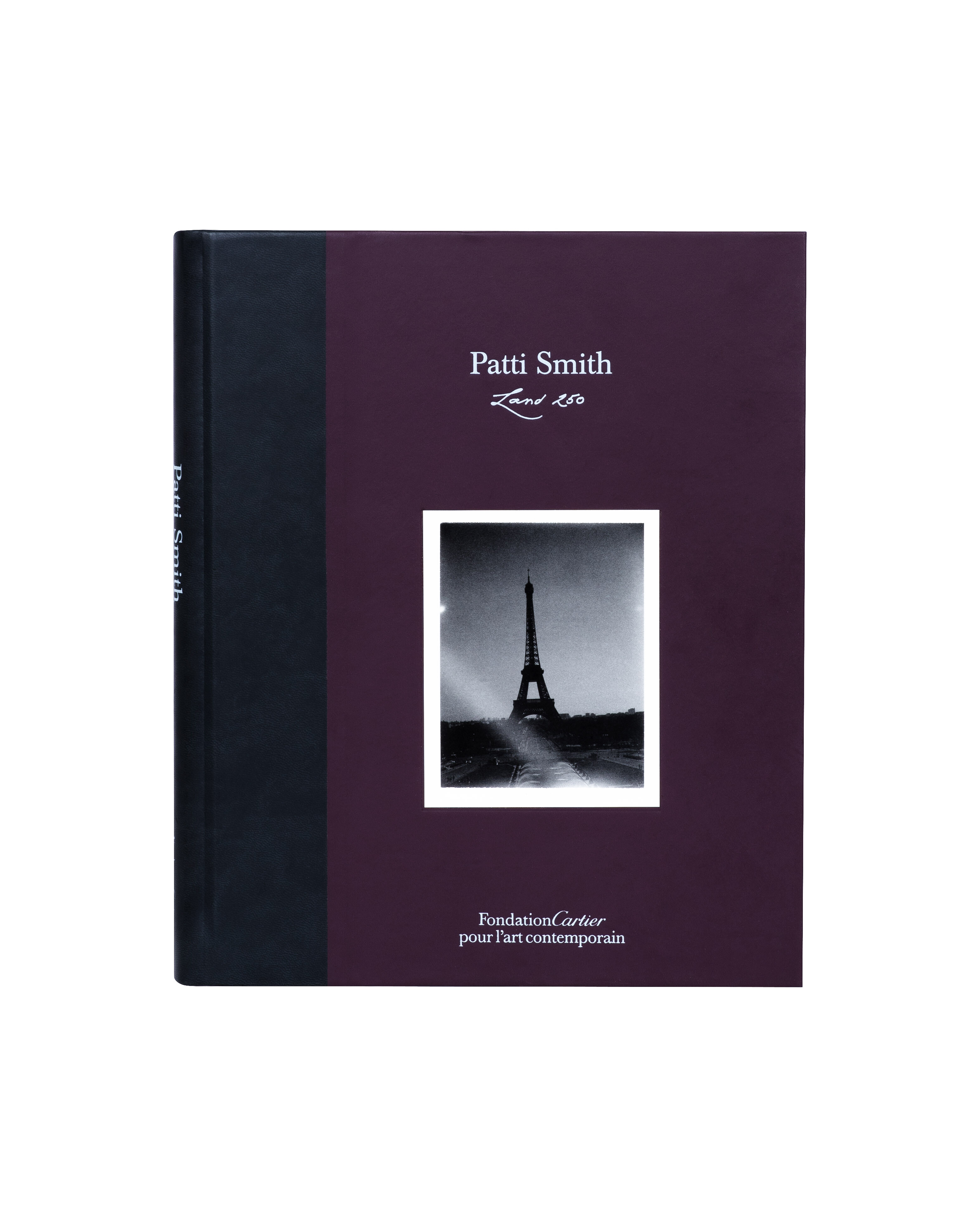 Land 250   Patti Smith   2008   c1a