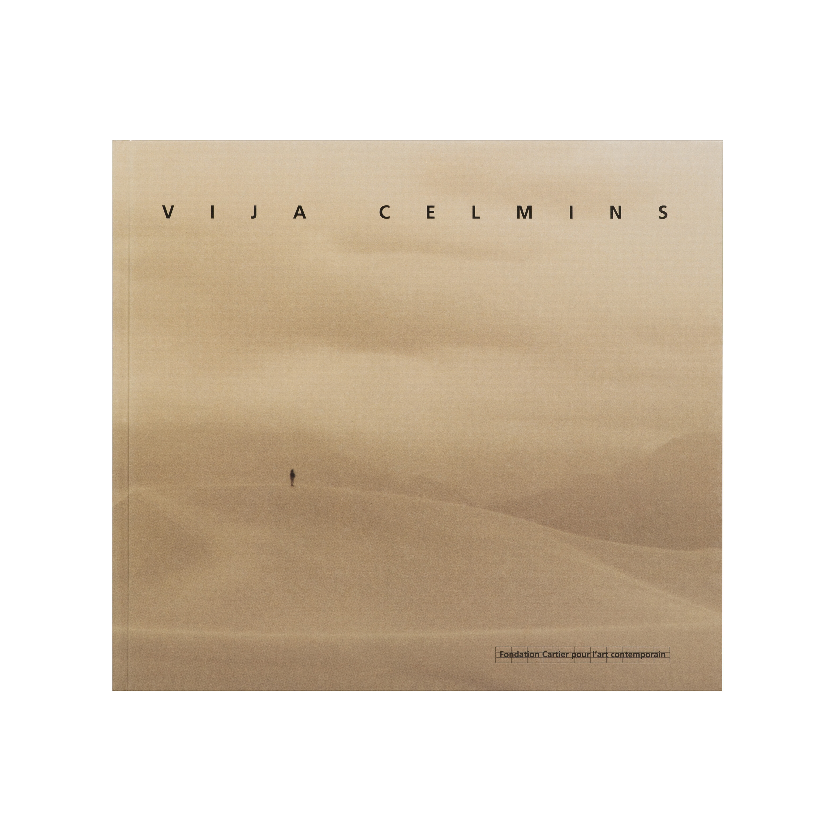 Vija Celmins   1995   c1a