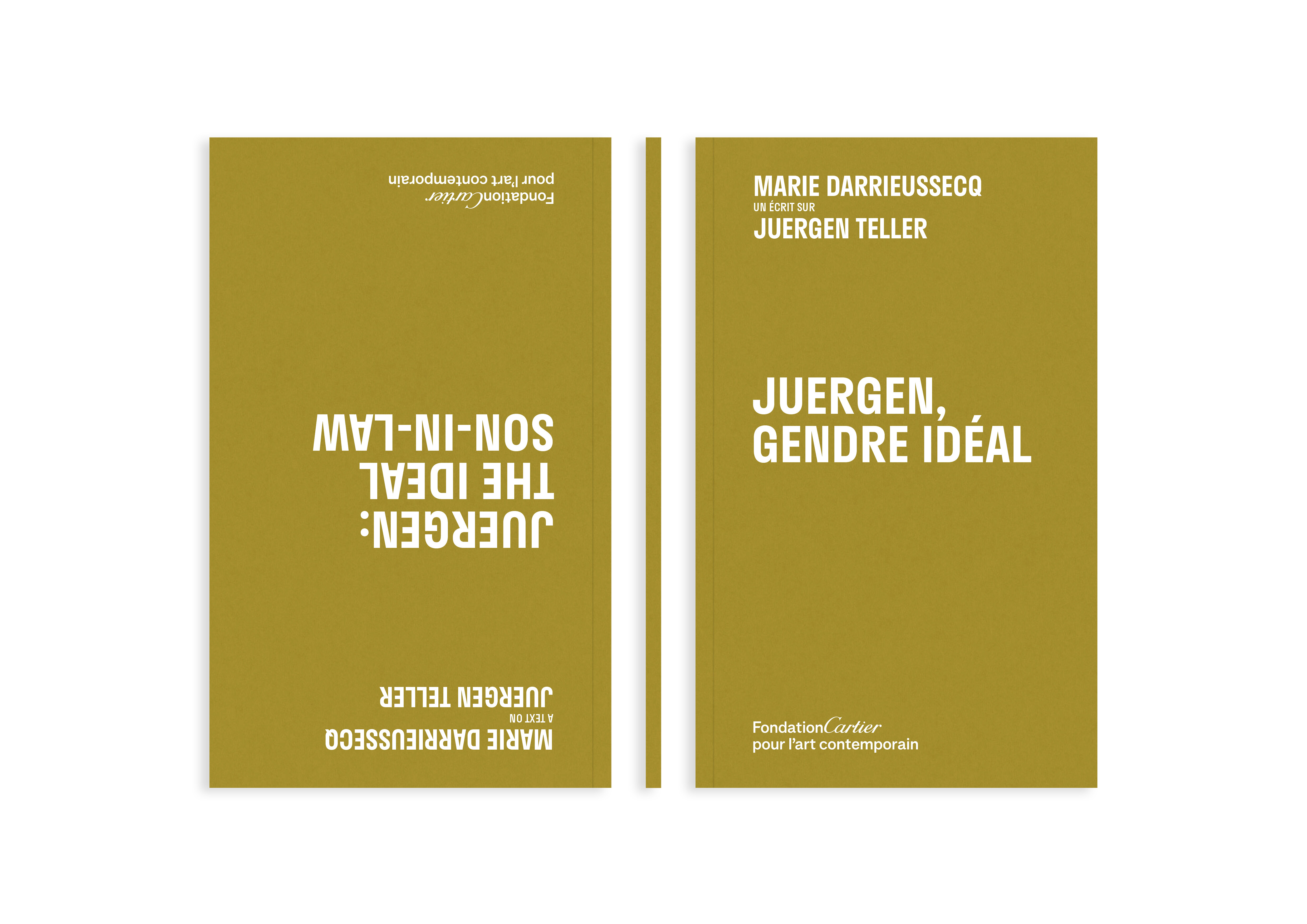 Marie Darrieussecq   Juergen, gendre idéal   2025   c1a