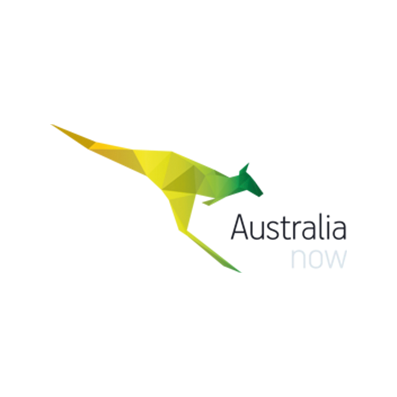 Logo Australia NOW