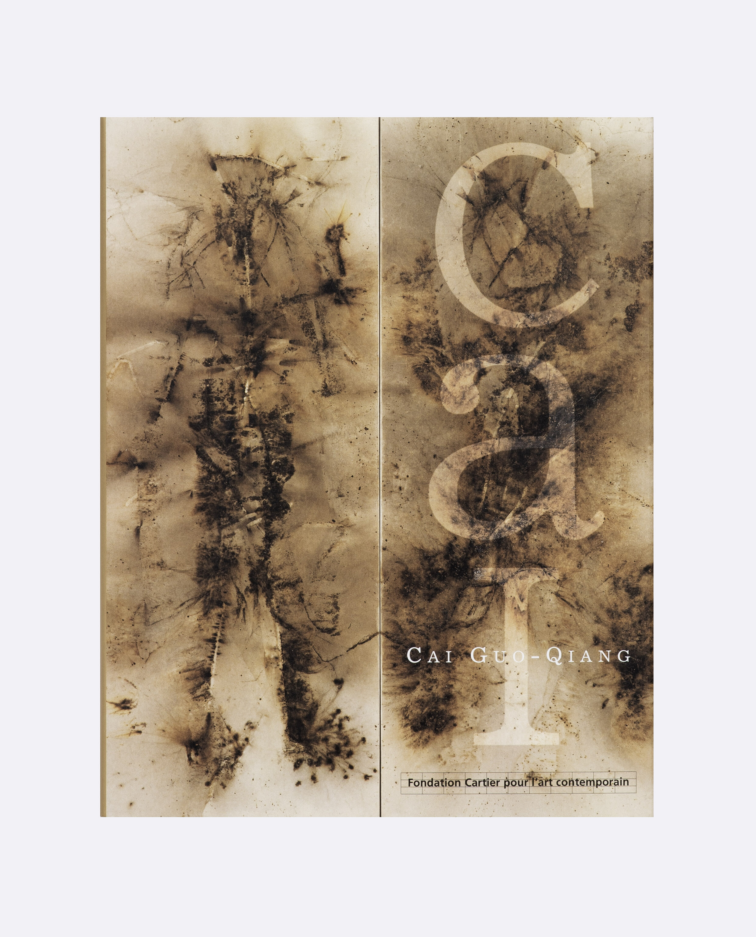 Cai Guo Qiang   2000   c1a