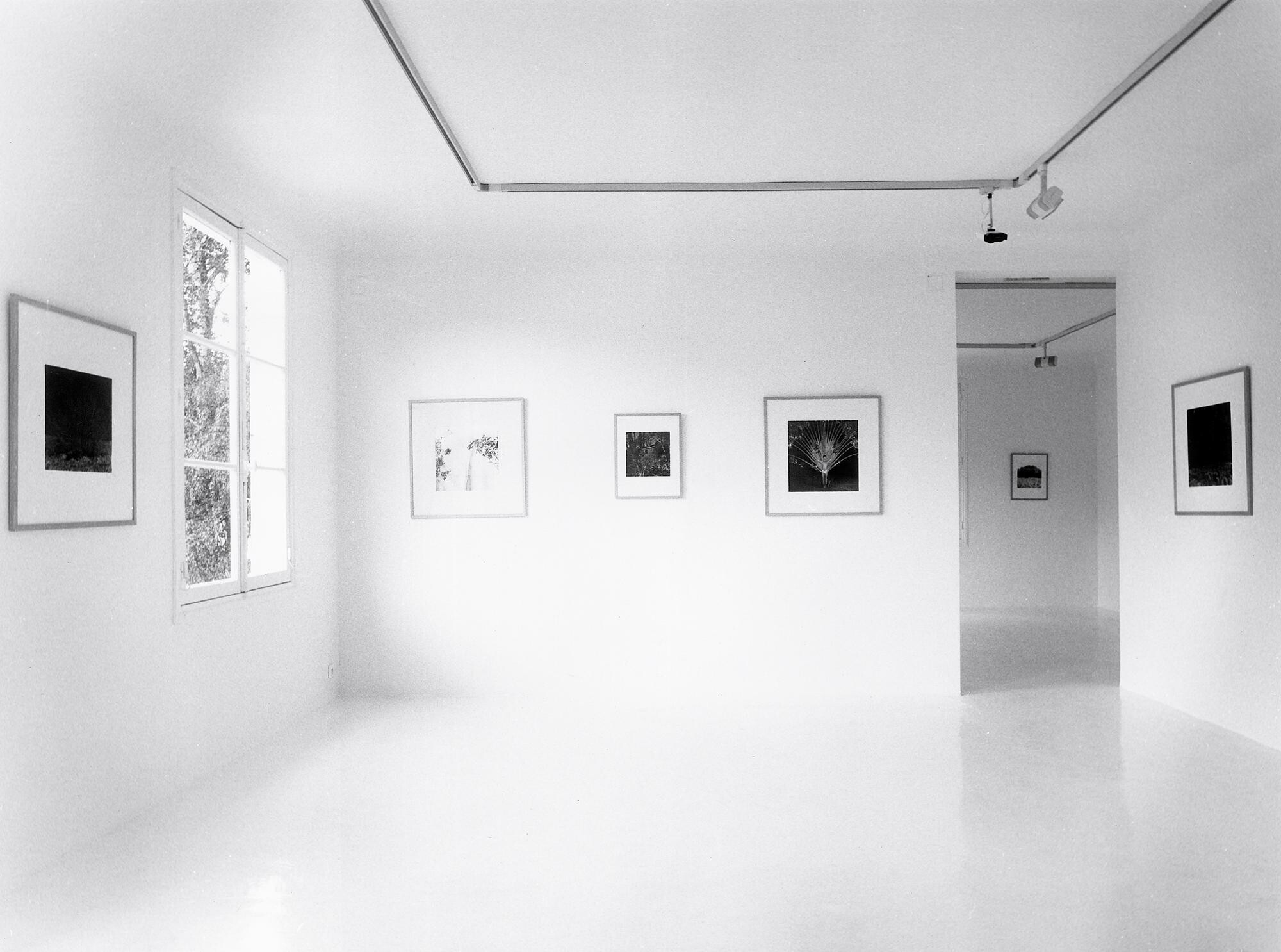 Natures de rêves   1985