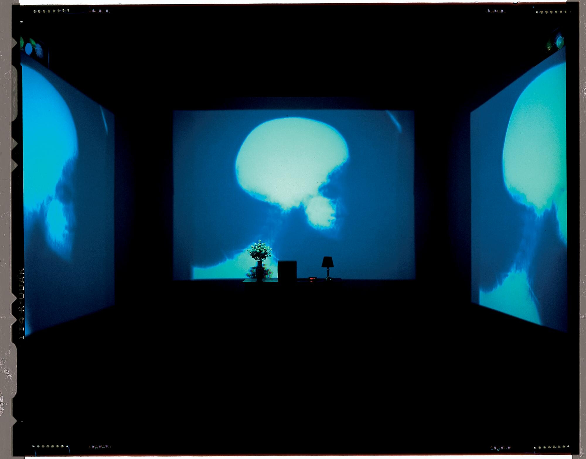 Bill Viola   The Sleep of Reason   1990