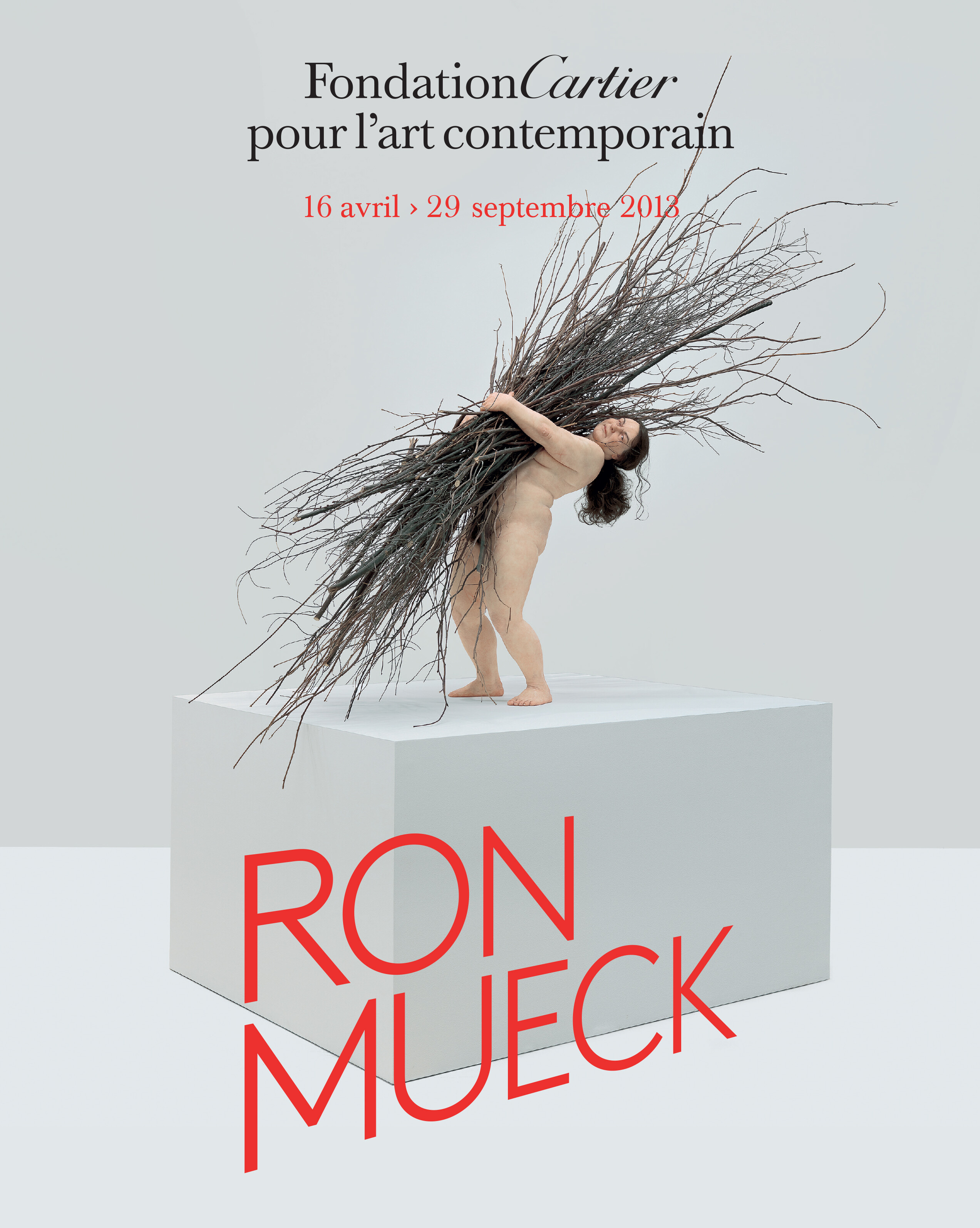 Ron Mueck   2013   Album de l'exposition