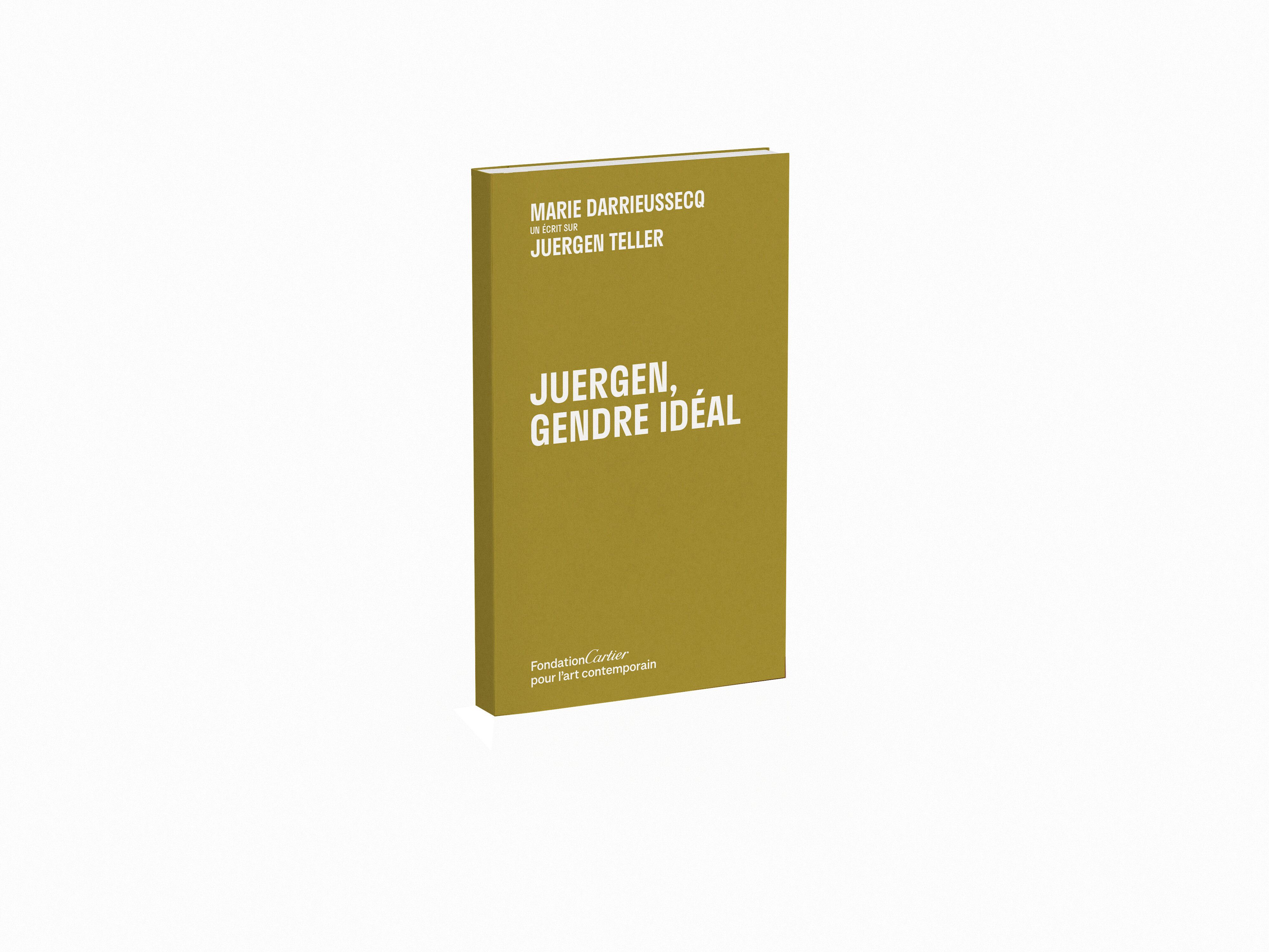Marie Darrieussecq   Juergen, gendre idéal   2025   FR   c1b