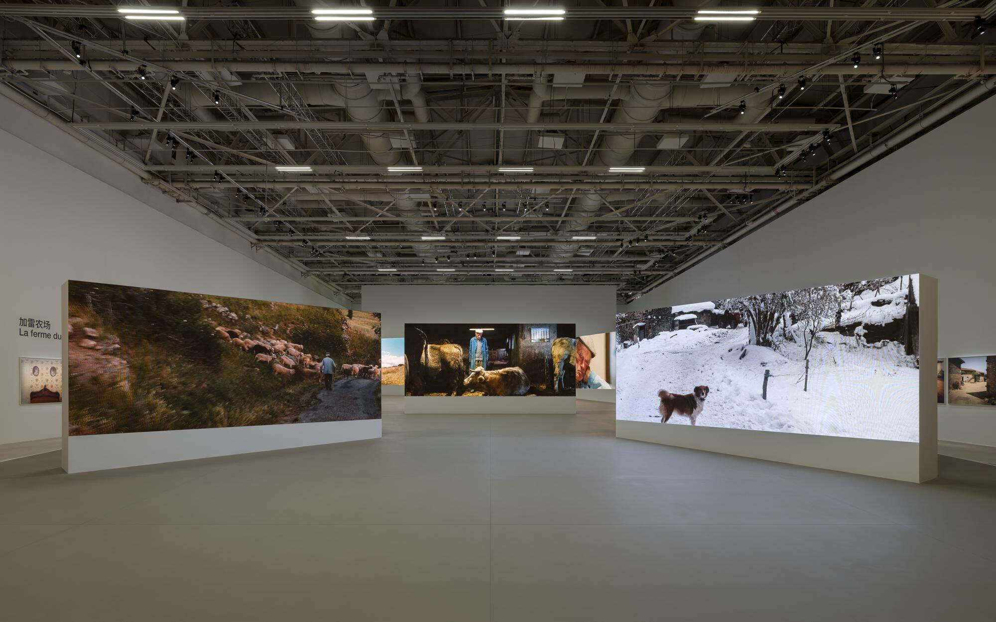 Raymond Depardon   La Vie Moderne   Power Station of Art   2023