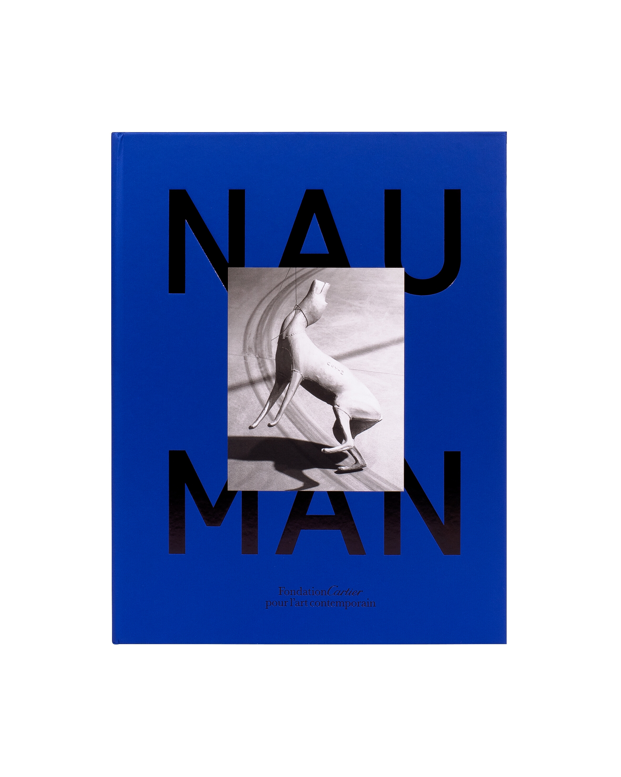 Bruce Nauman   2015   c1a