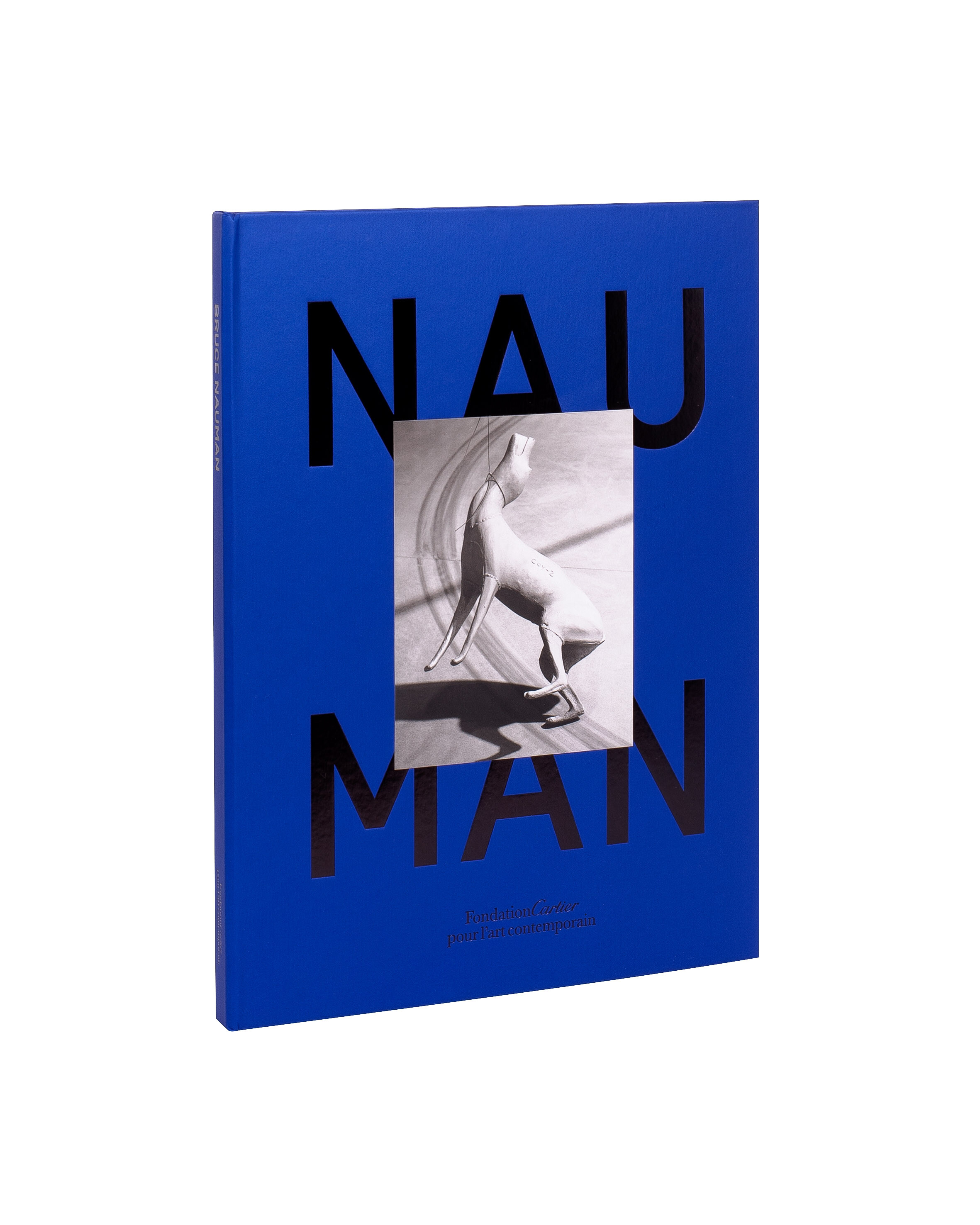 Bruce Nauman   2015   c1b