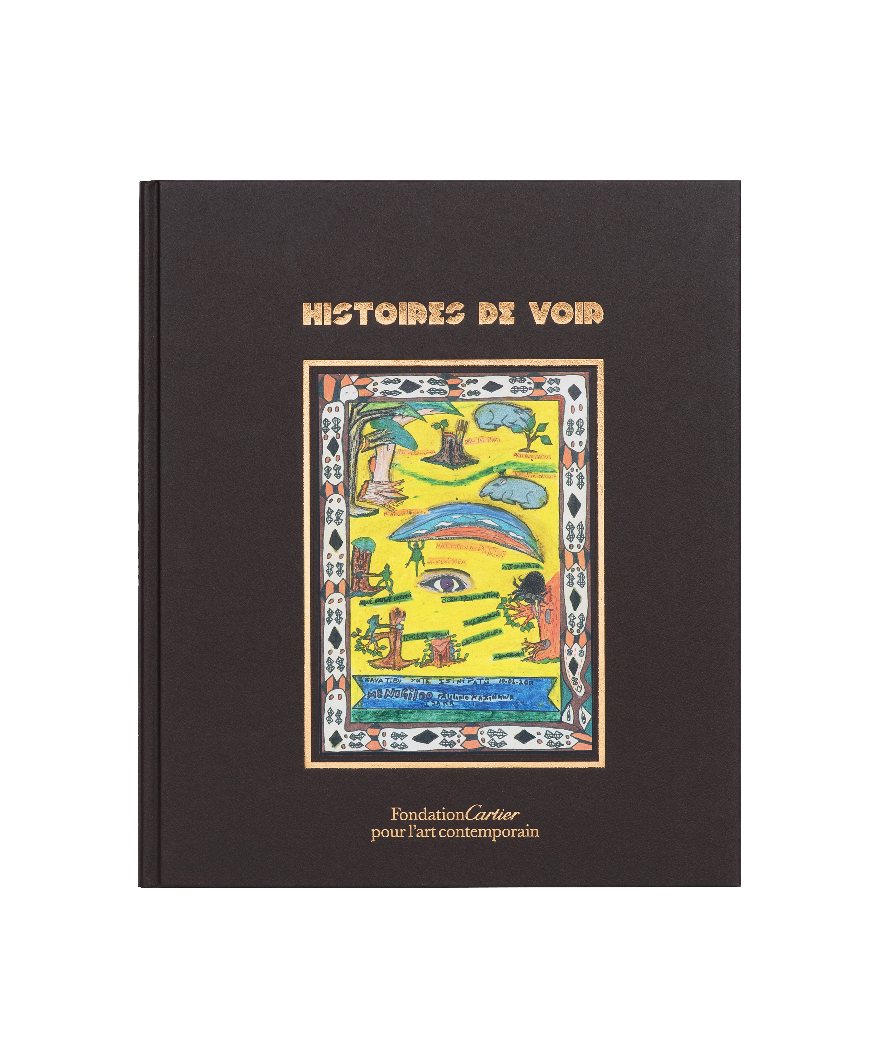 Histoires de voir   2012   c1a