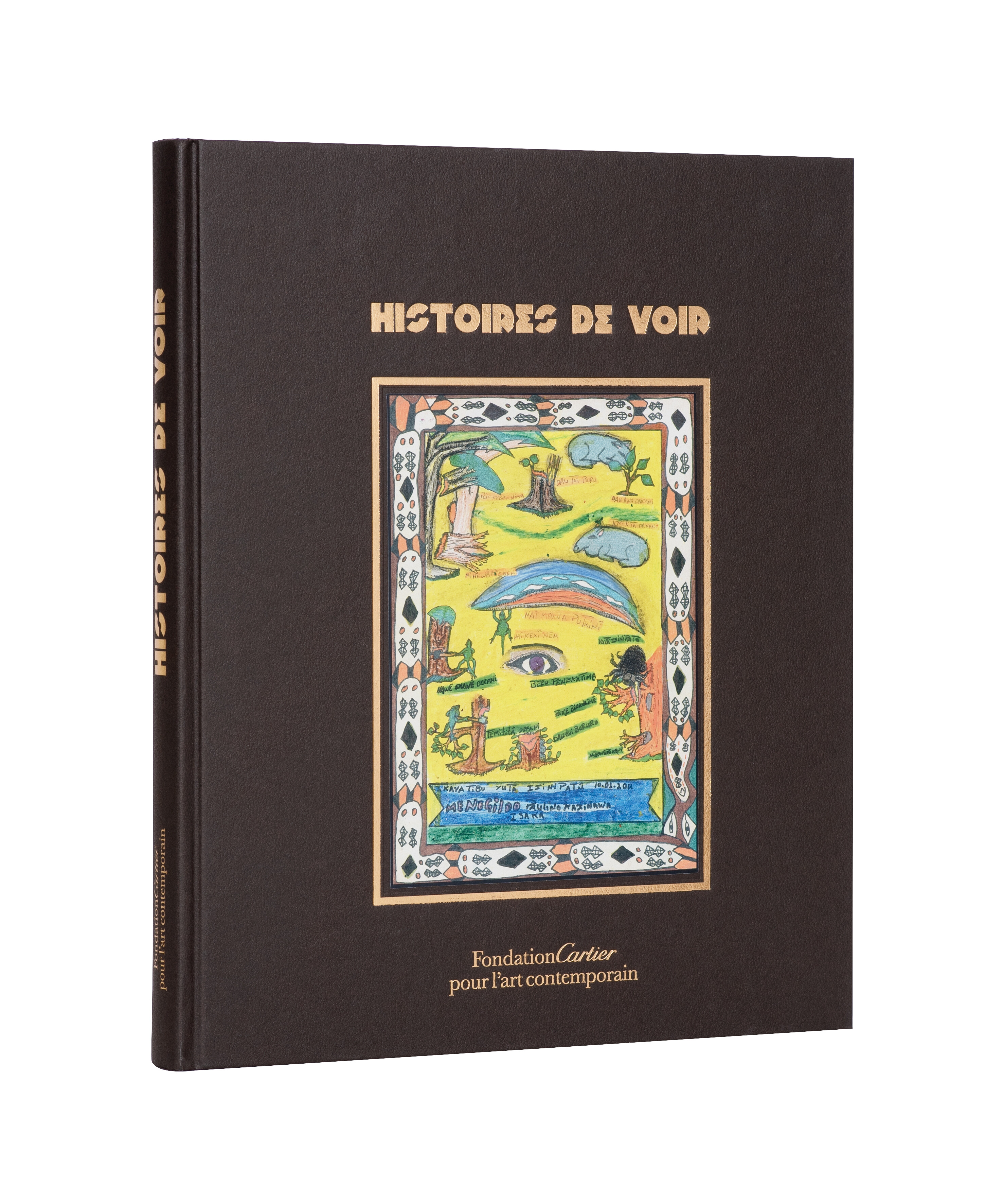 Histoires de voir   2012   c1b