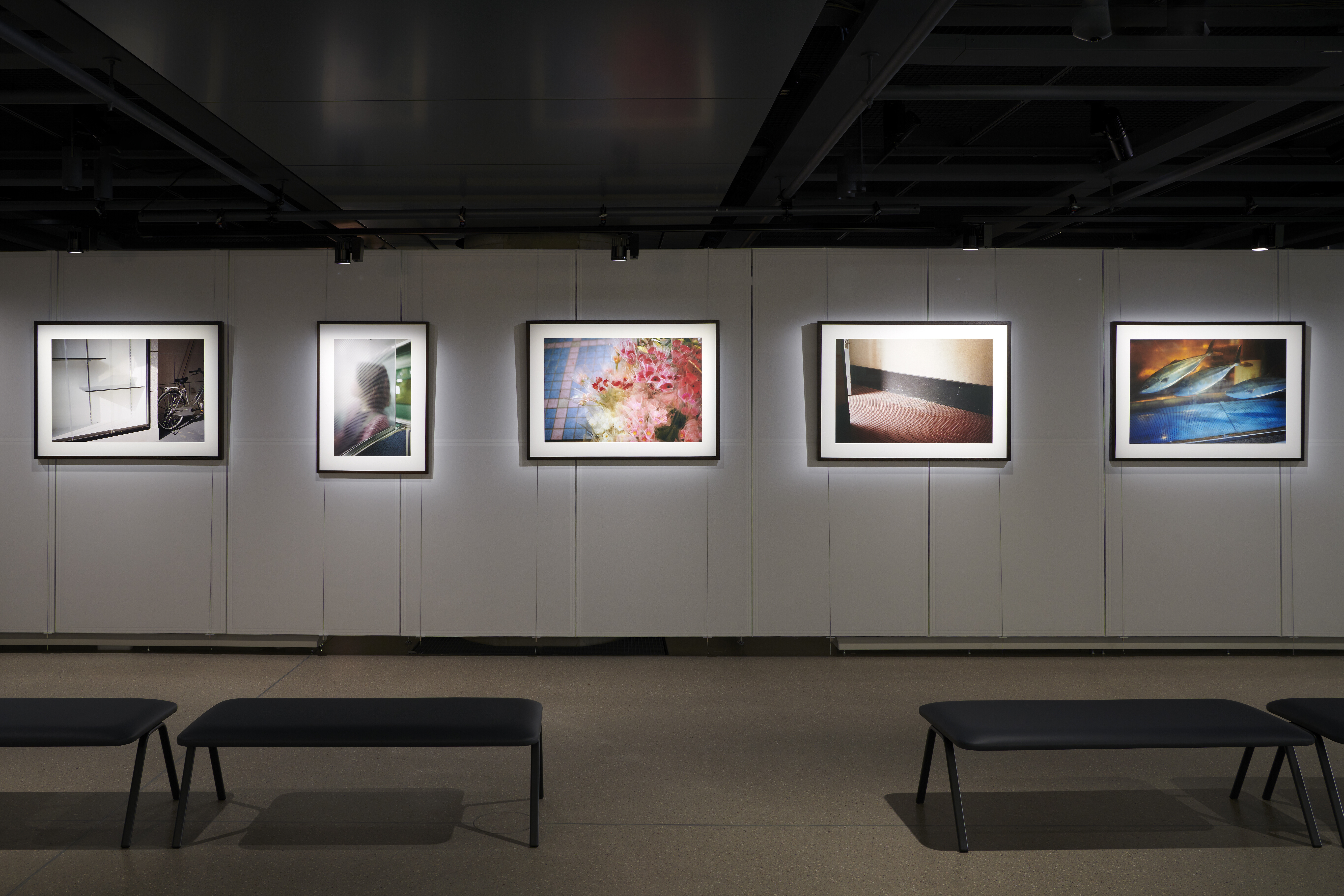 William Eggleston   Exposition Générale   2025