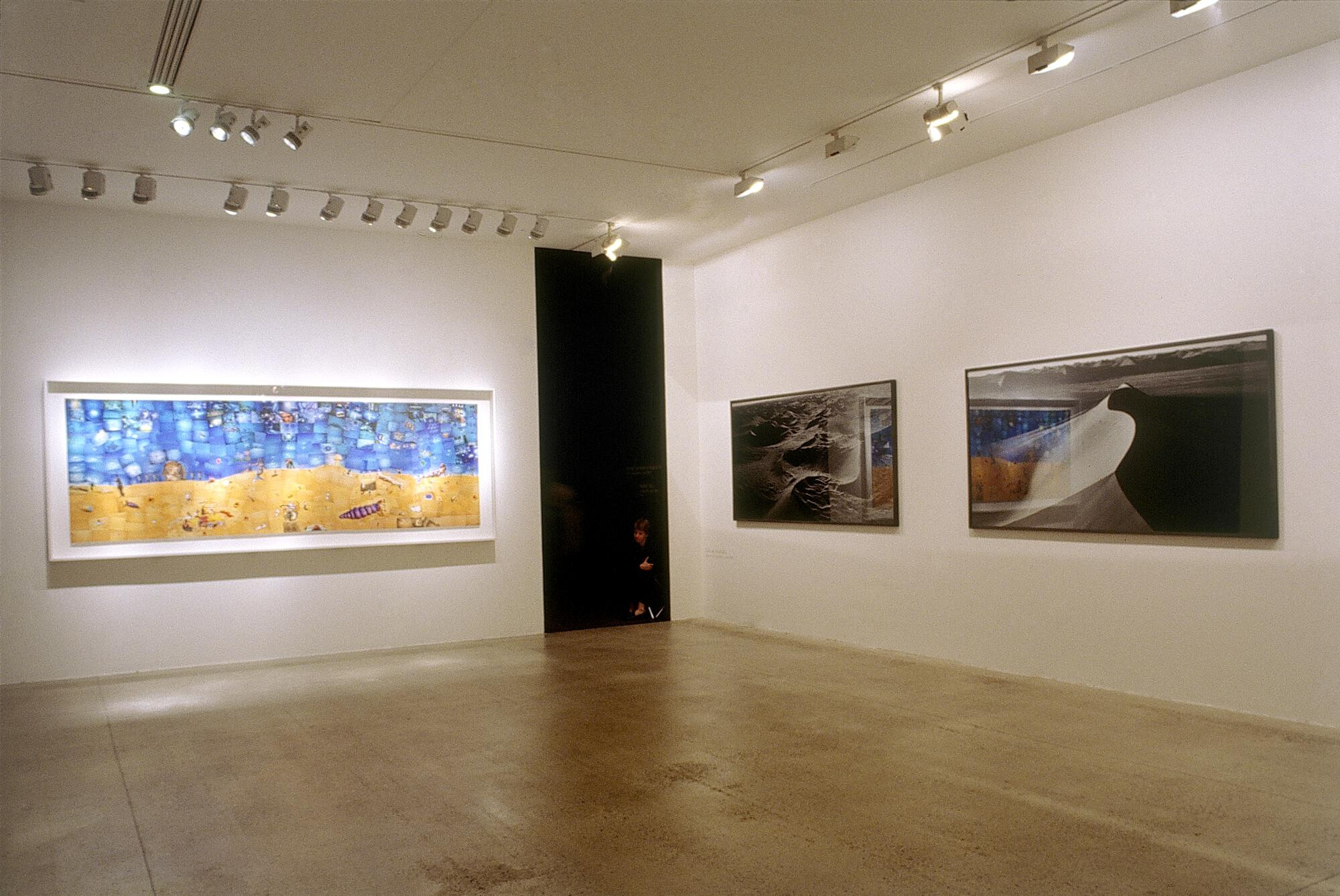 Vue de l'exposition Le Désert   2000