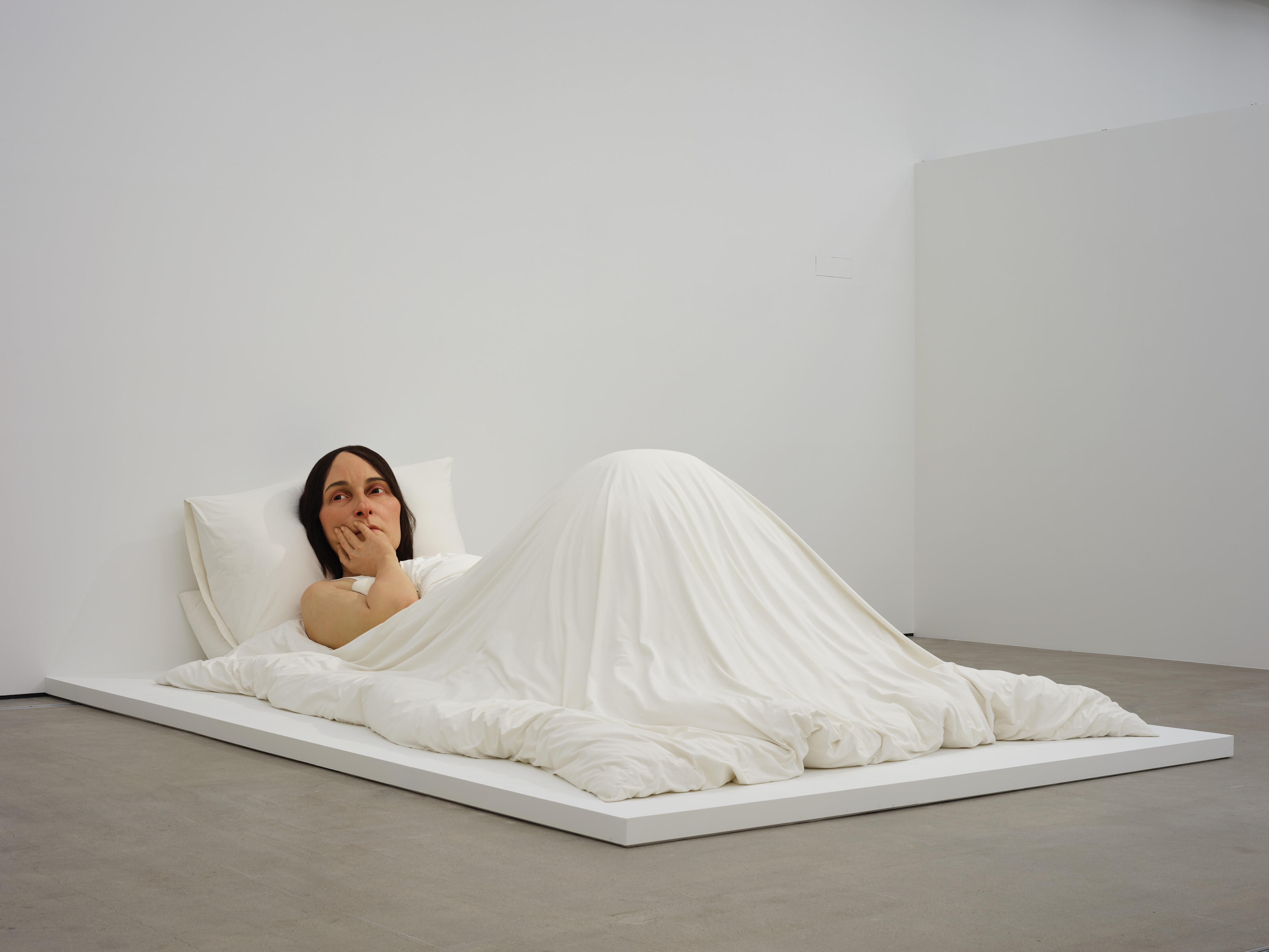 Ron Mueck — Fondation Cartier pour l'art contemporain