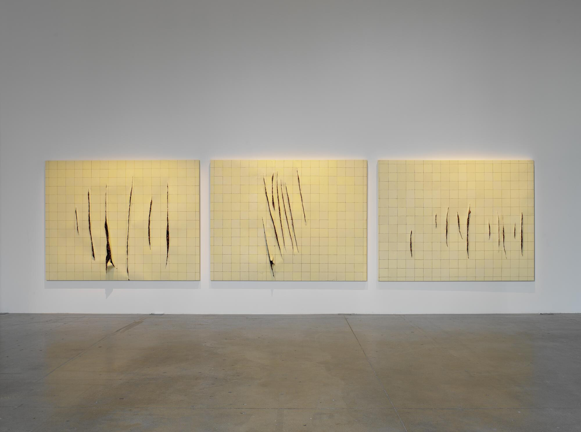 Adriana Varejao   Centre Culturel de Belem   2006