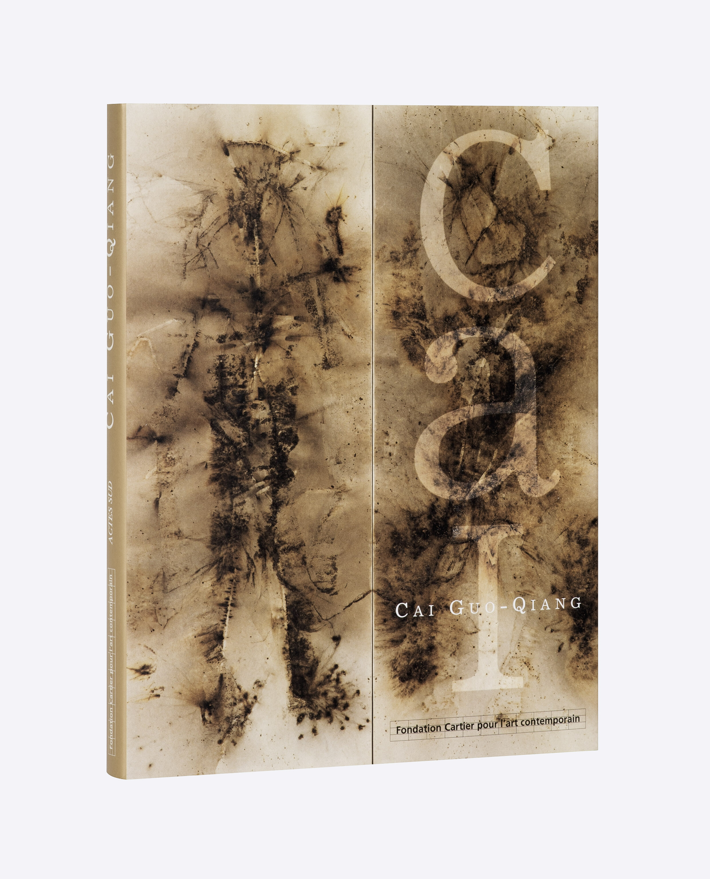 Cai Guo Qiang   2000   c1b