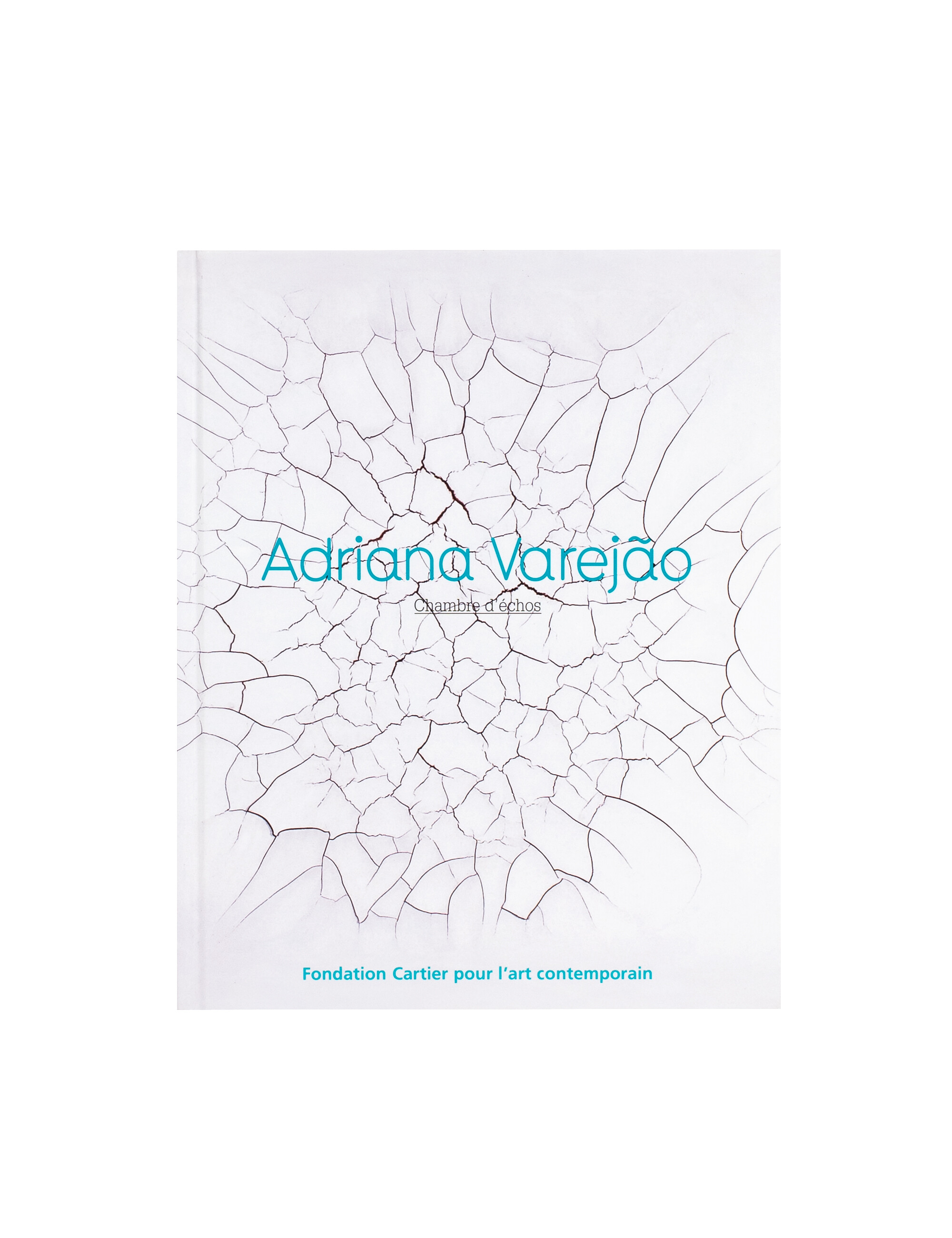 Chambre d’échos   Adriana Varejão   2005   c1a