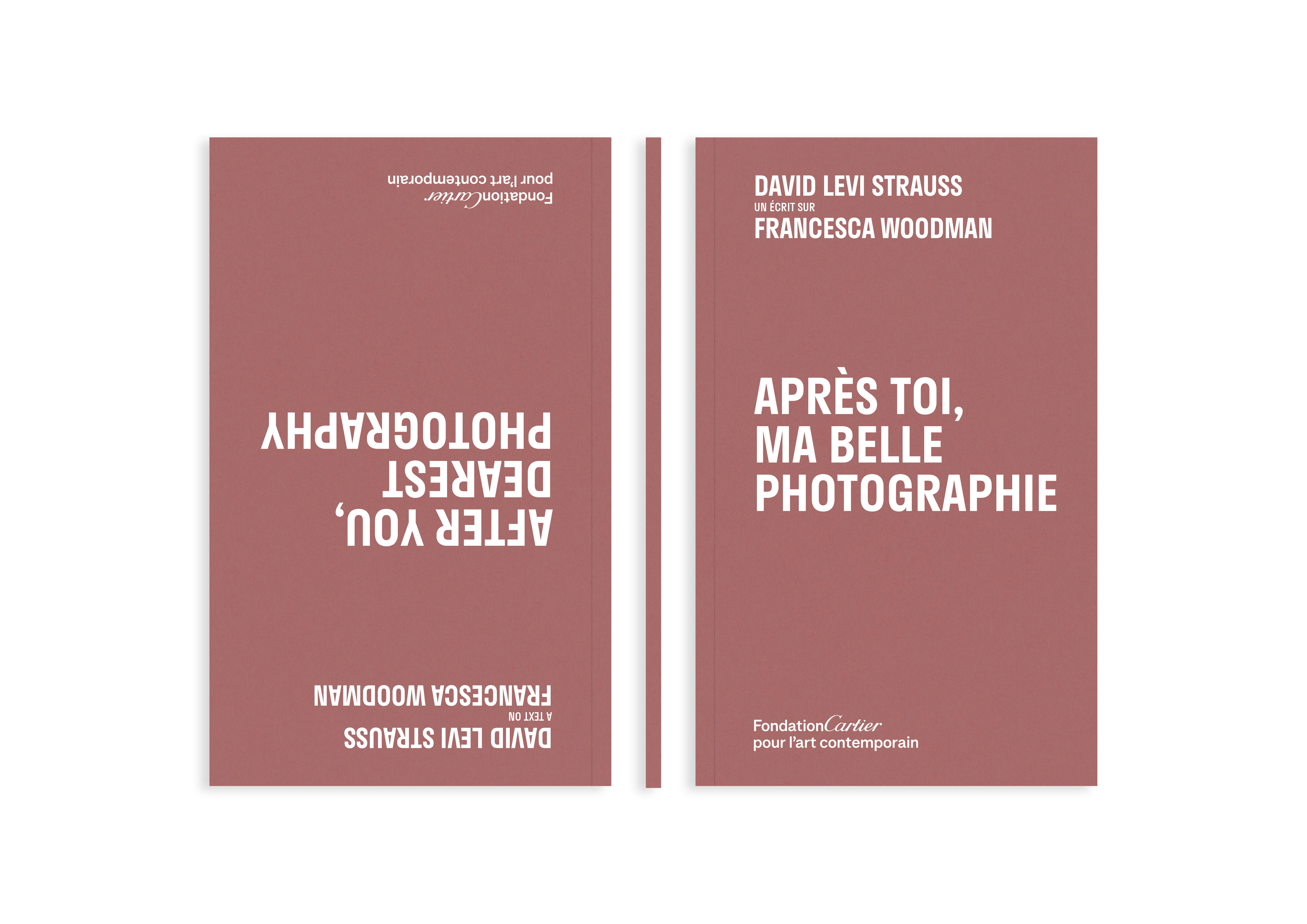 David Levi Strauss    Après toi, ma belle photographie   c1a