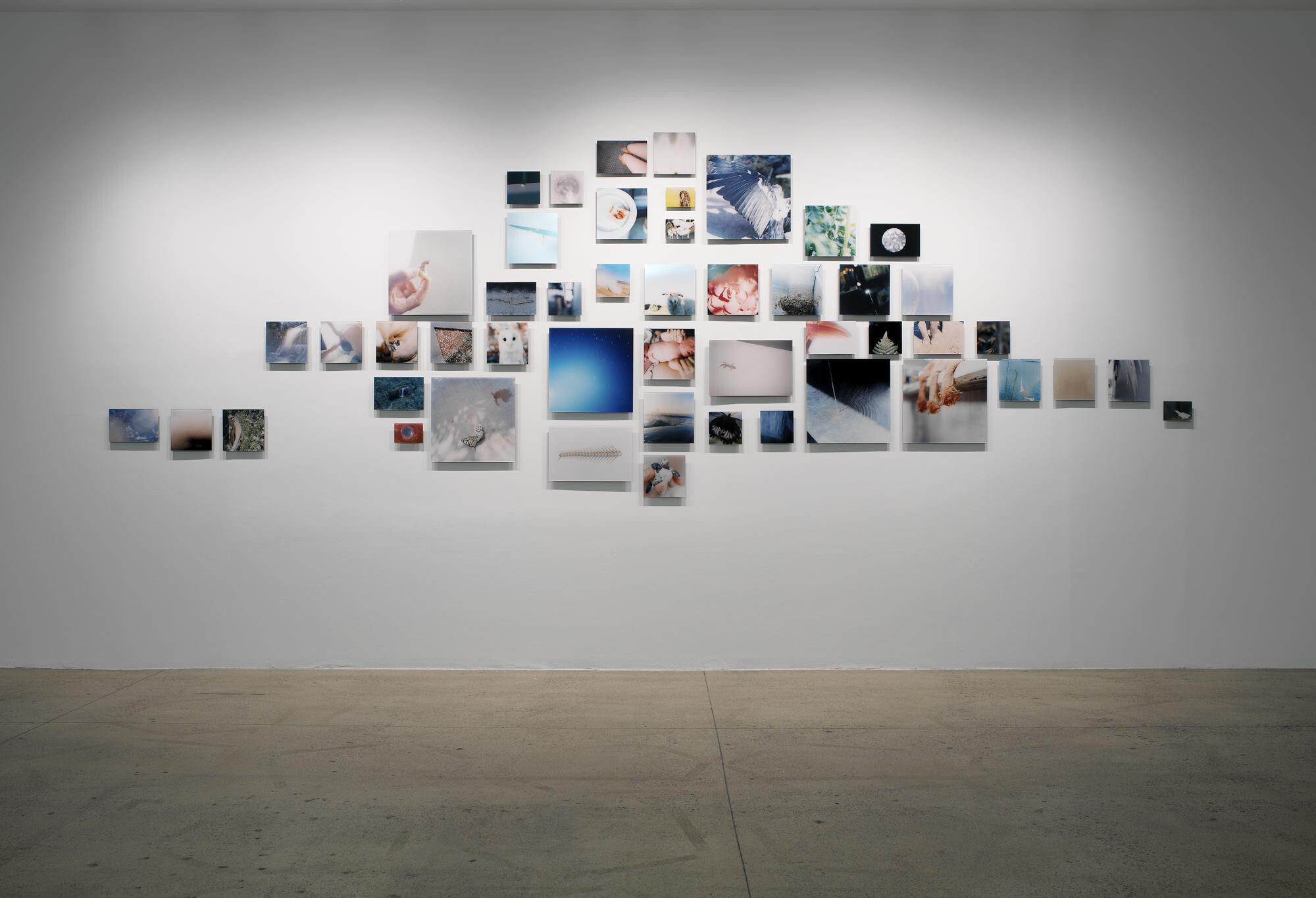 Rinko Kawauchi   Galleria Carla Sozzani   2006