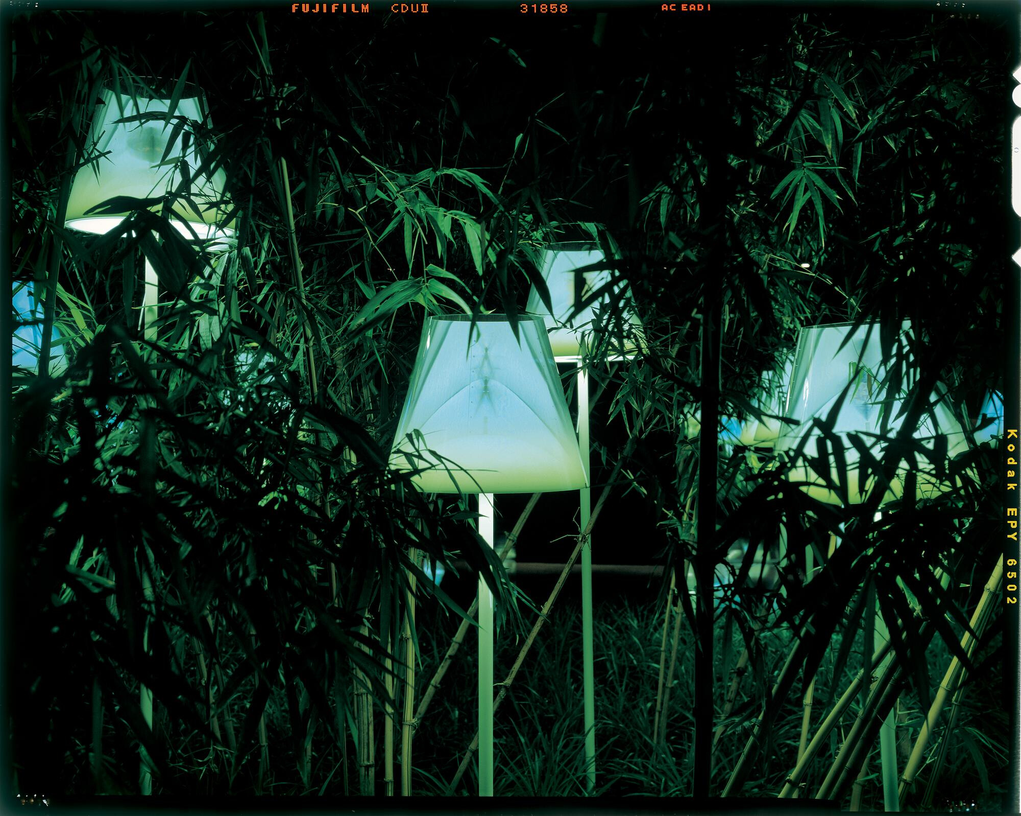 Radi Designers   1999