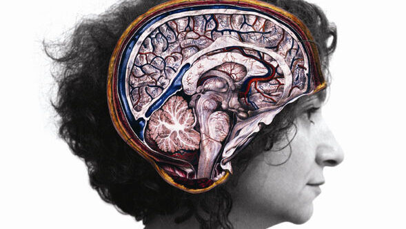 Lina Majdalanie Appendice Rabih Mroue   2024