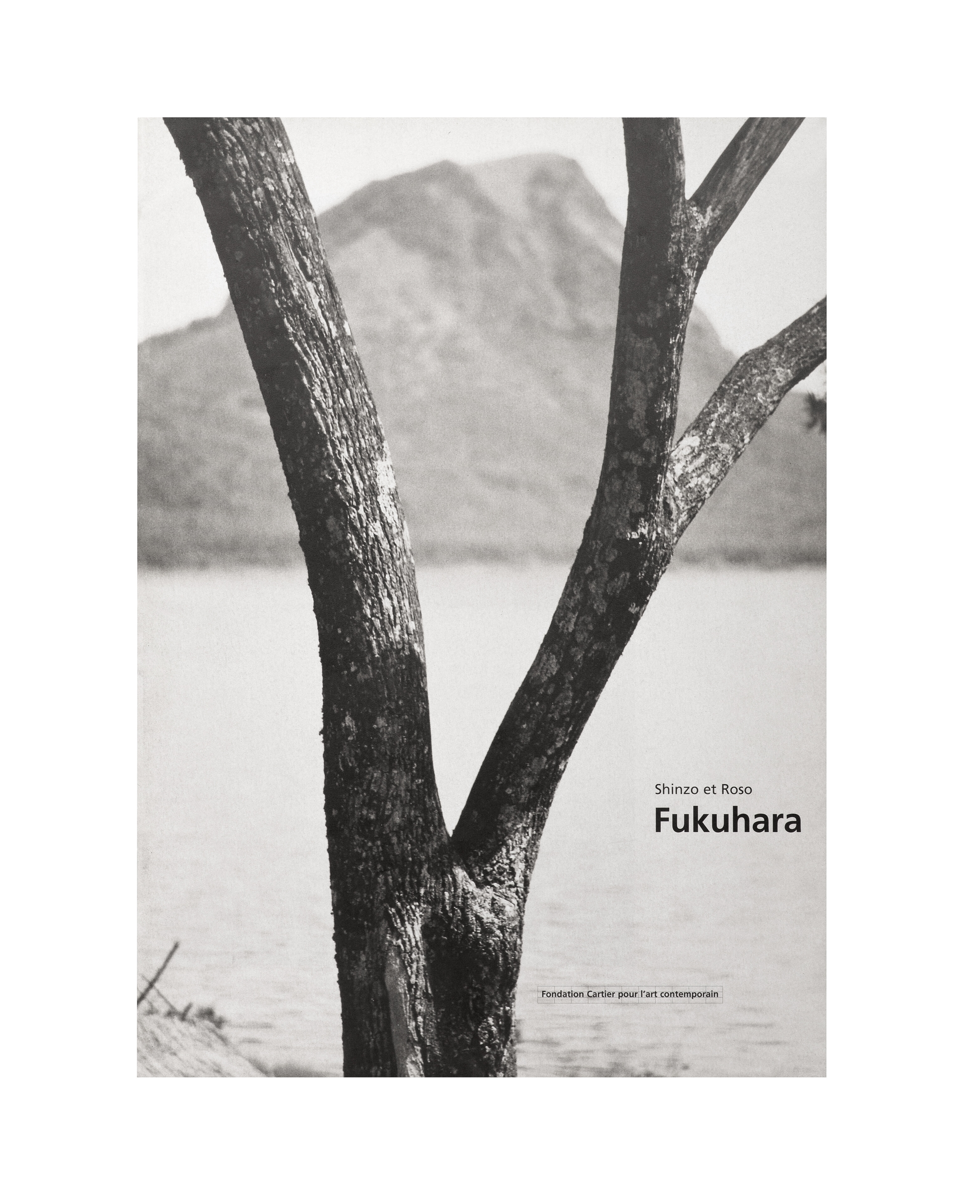 Photographies 1913 1941   Shinzo et Roso Fukuhara   1994   FR   c1a